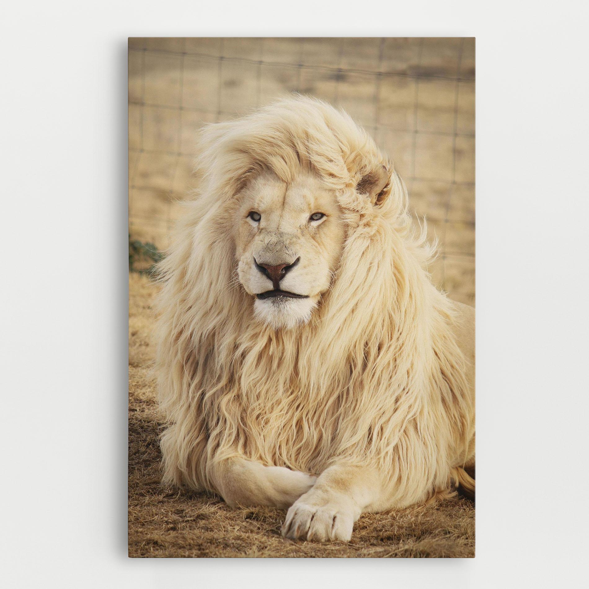 Tablou Canvas White Lion mockup 0