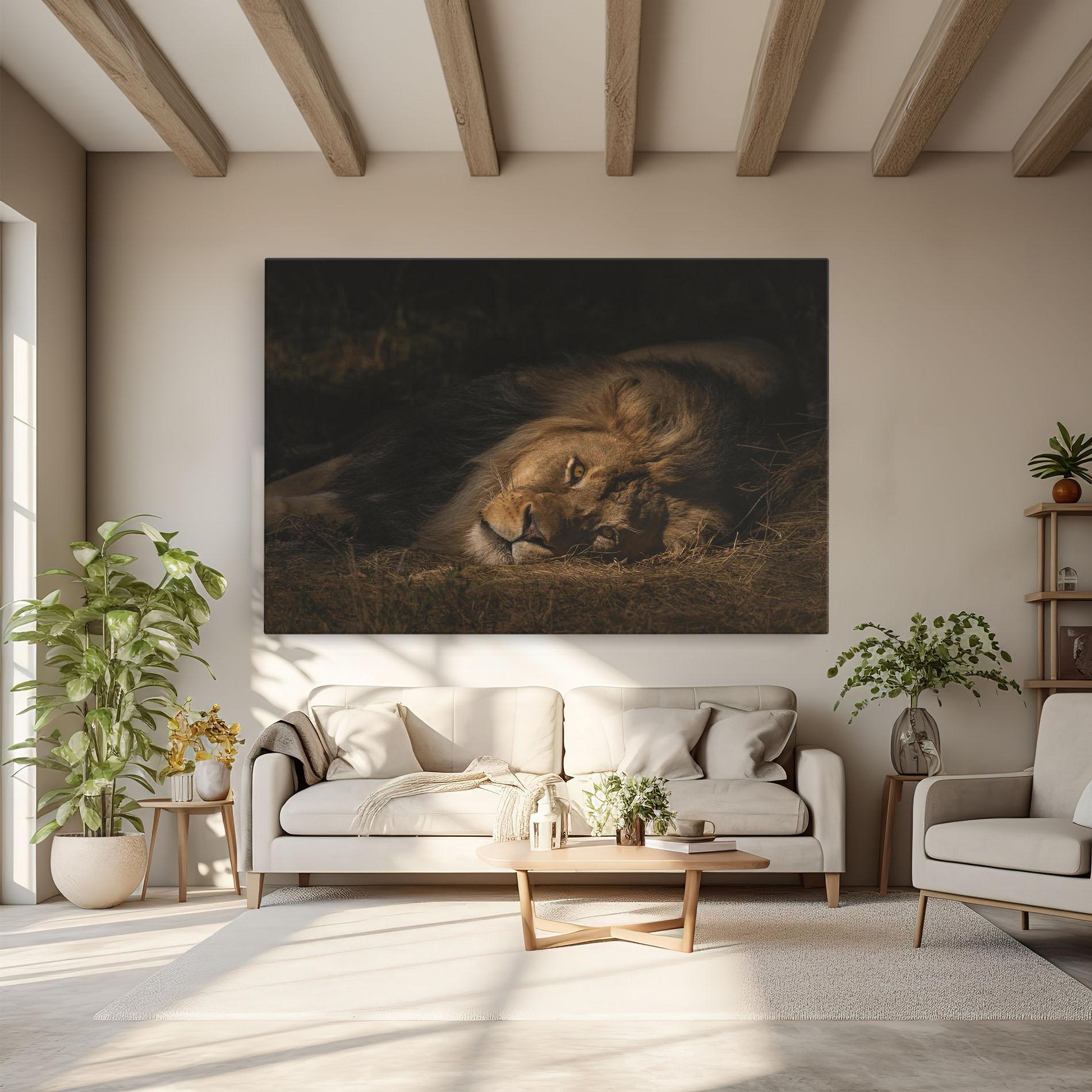 Tablou Canvas Lion Laying Down mockup 6