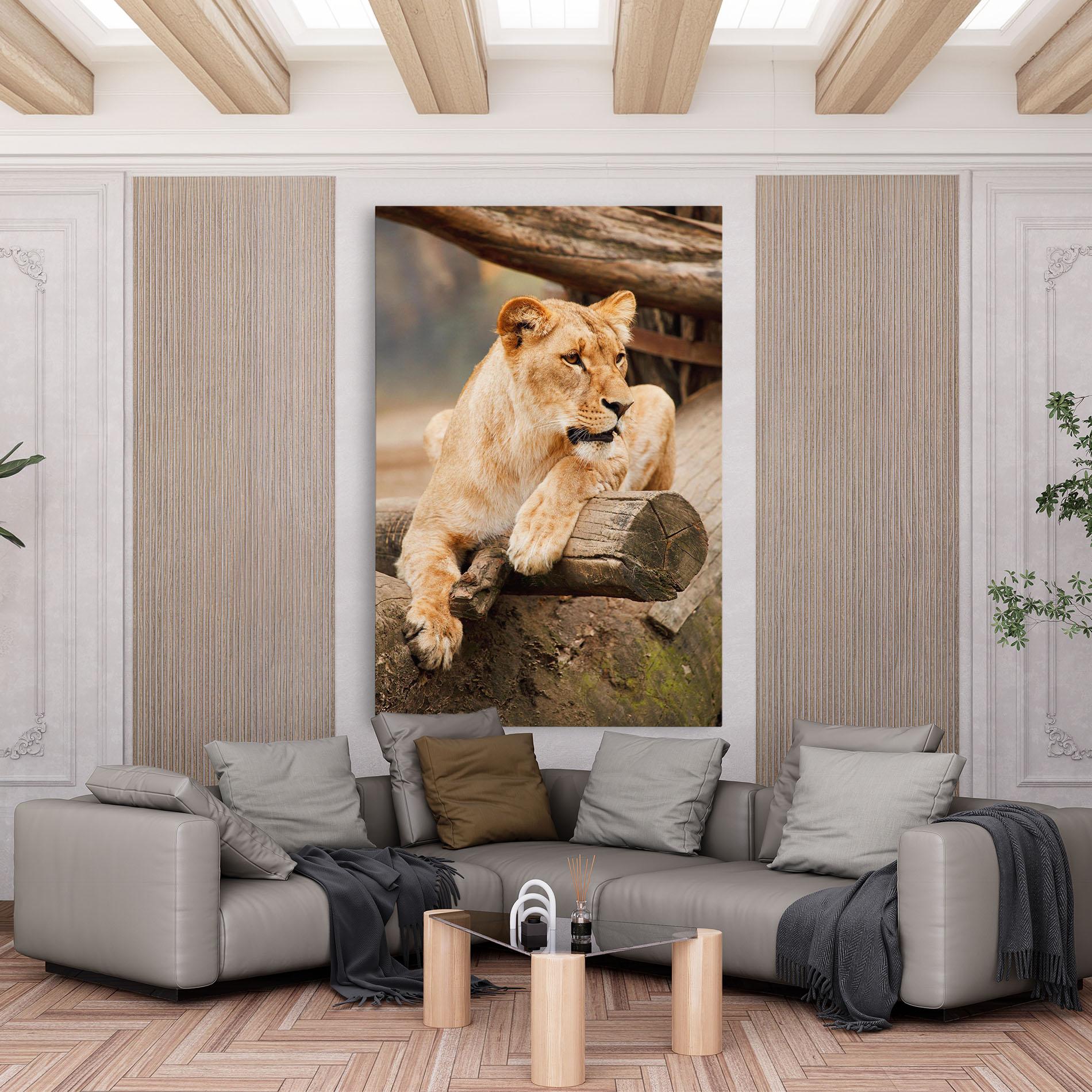 Tablou Canvas Female Lion Sitting mockup 6