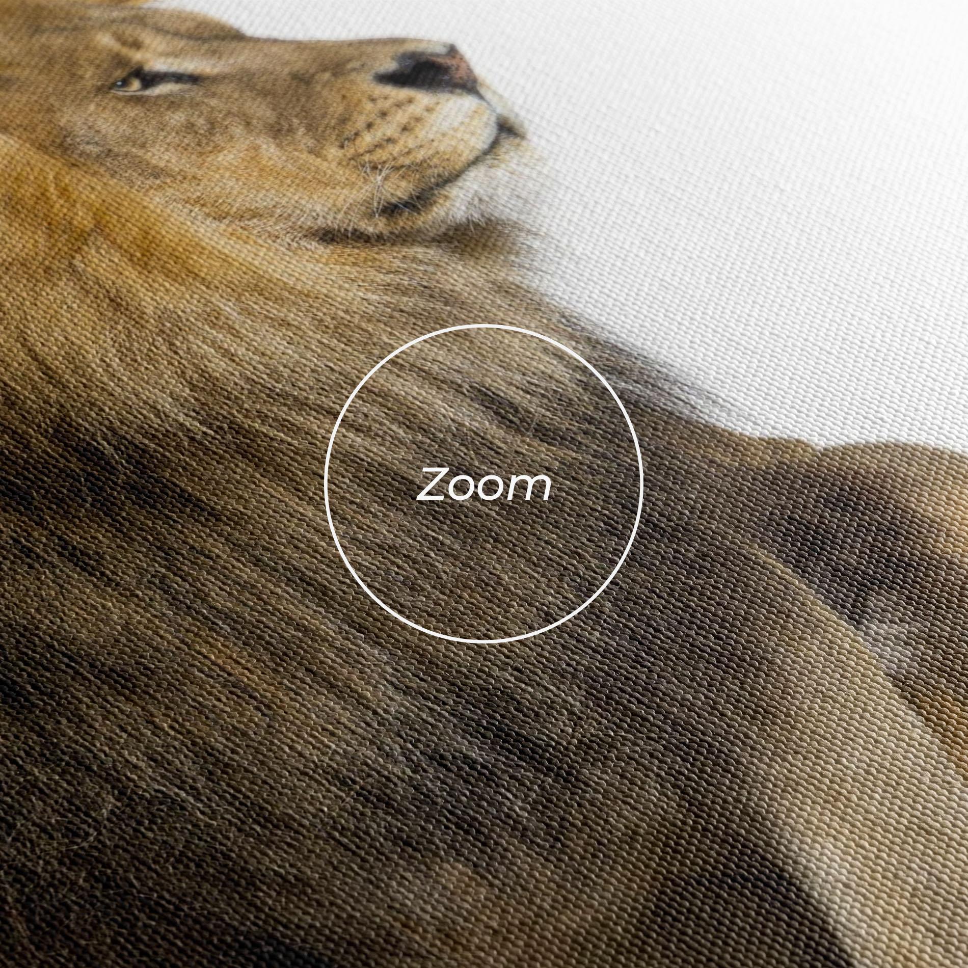 Tablou Canvas Big Lion mockup 3