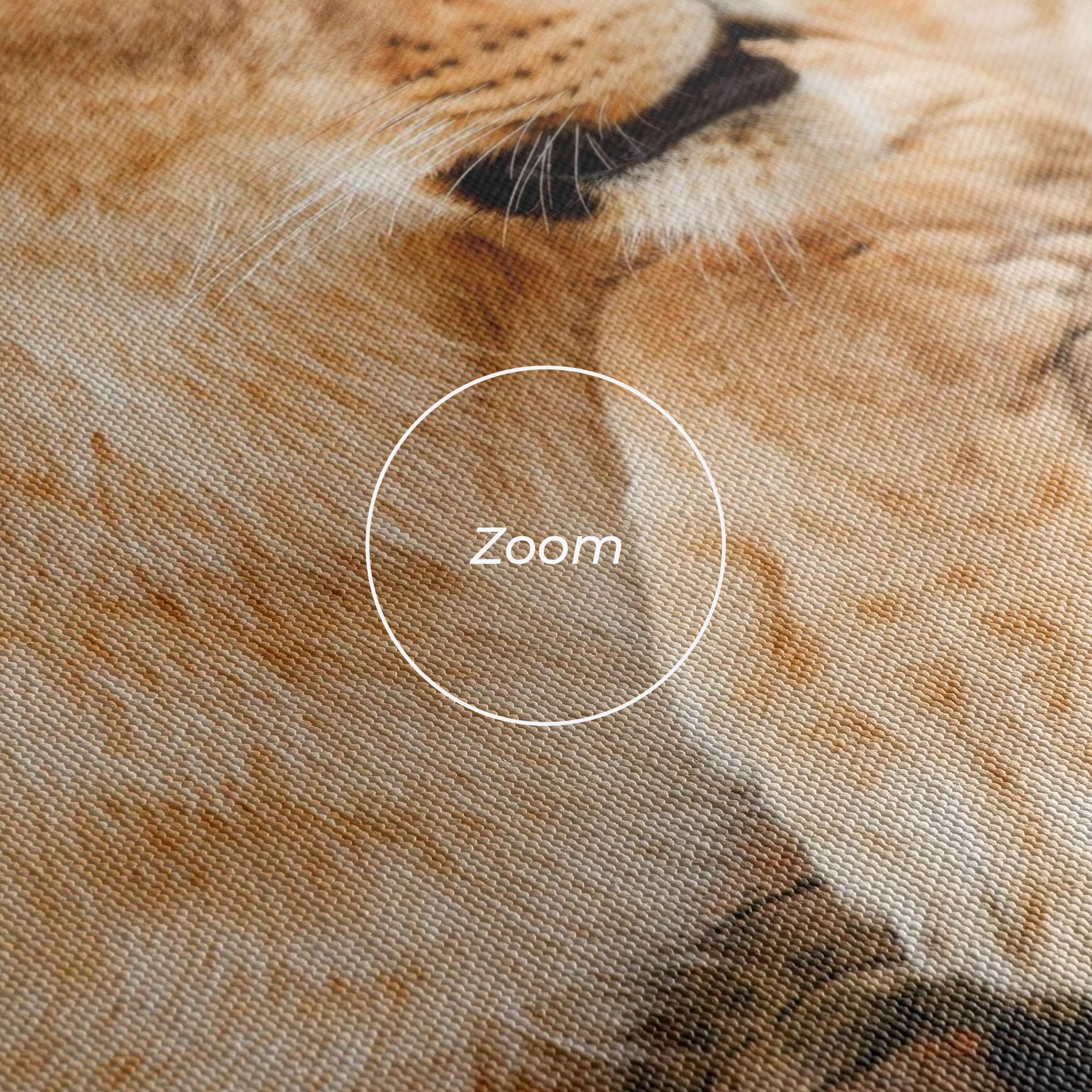 Tablou Canvas Female Lion Sitting mockup 3