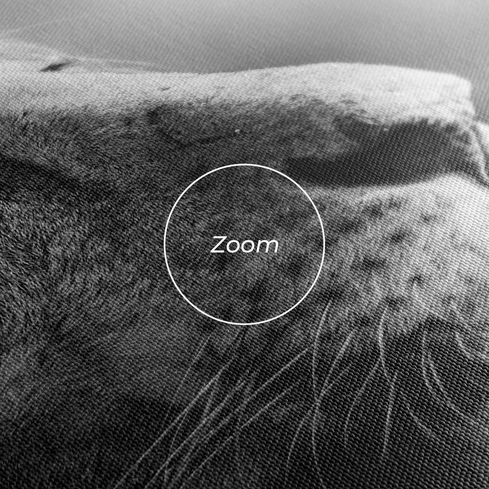 Tablou Canvas Grey Lion Head mockup 3