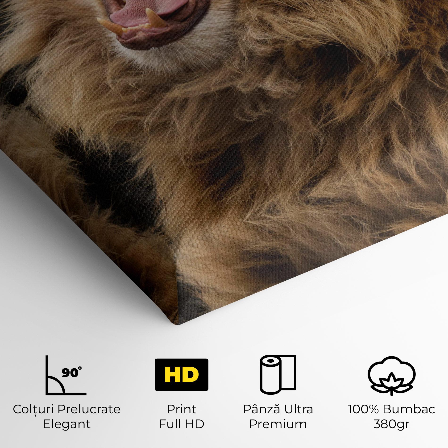 Tablou Canvas Angry Lion mockup 4