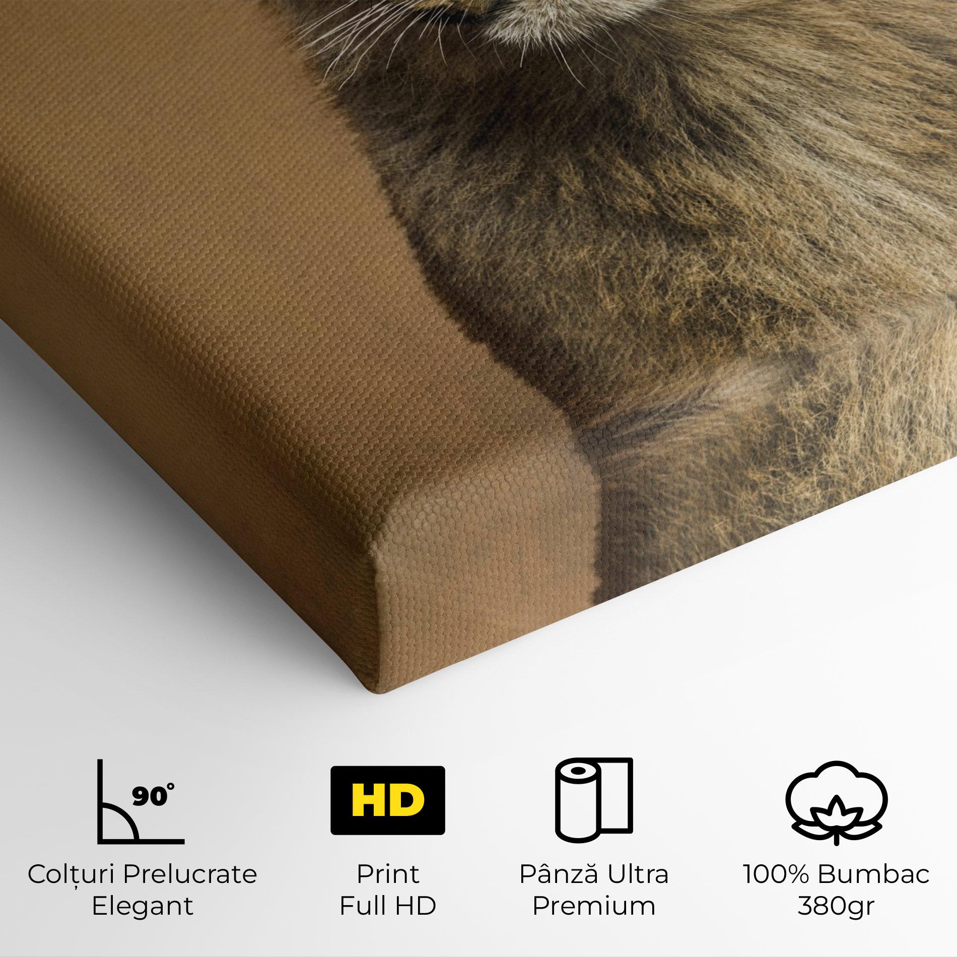 Tablou Canvas Baby Lion mockup 4