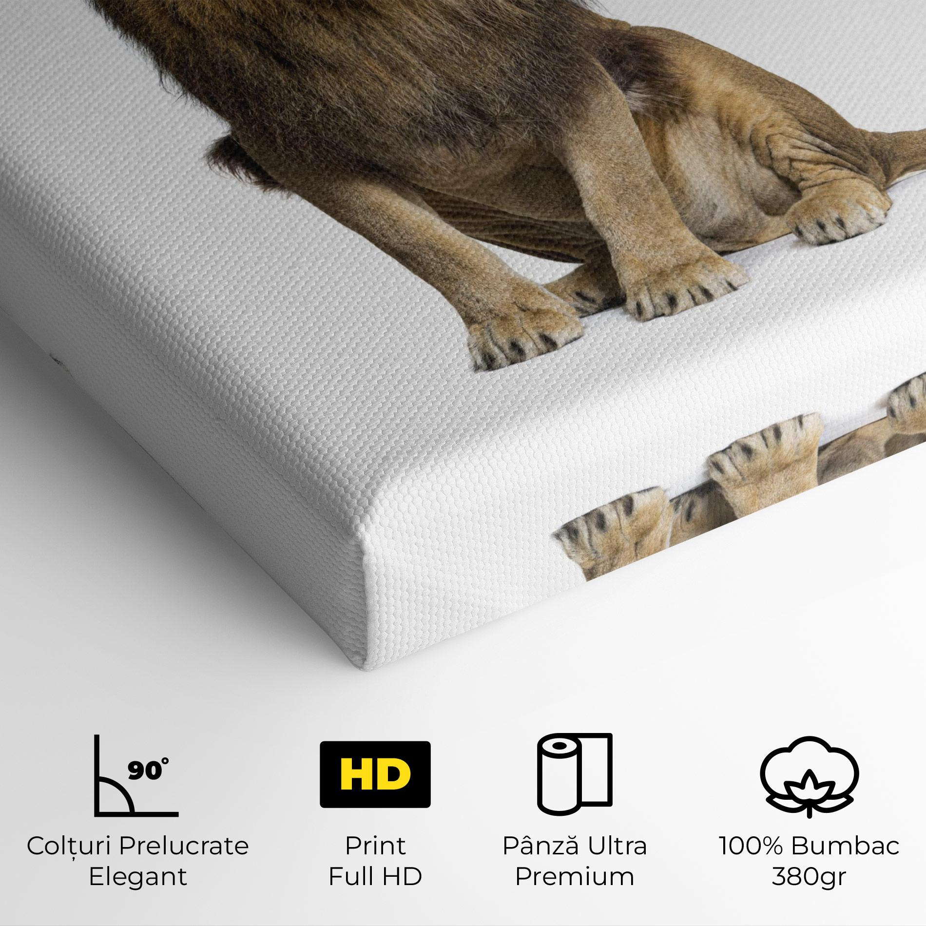 Tablou Canvas Big Lion mockup 4