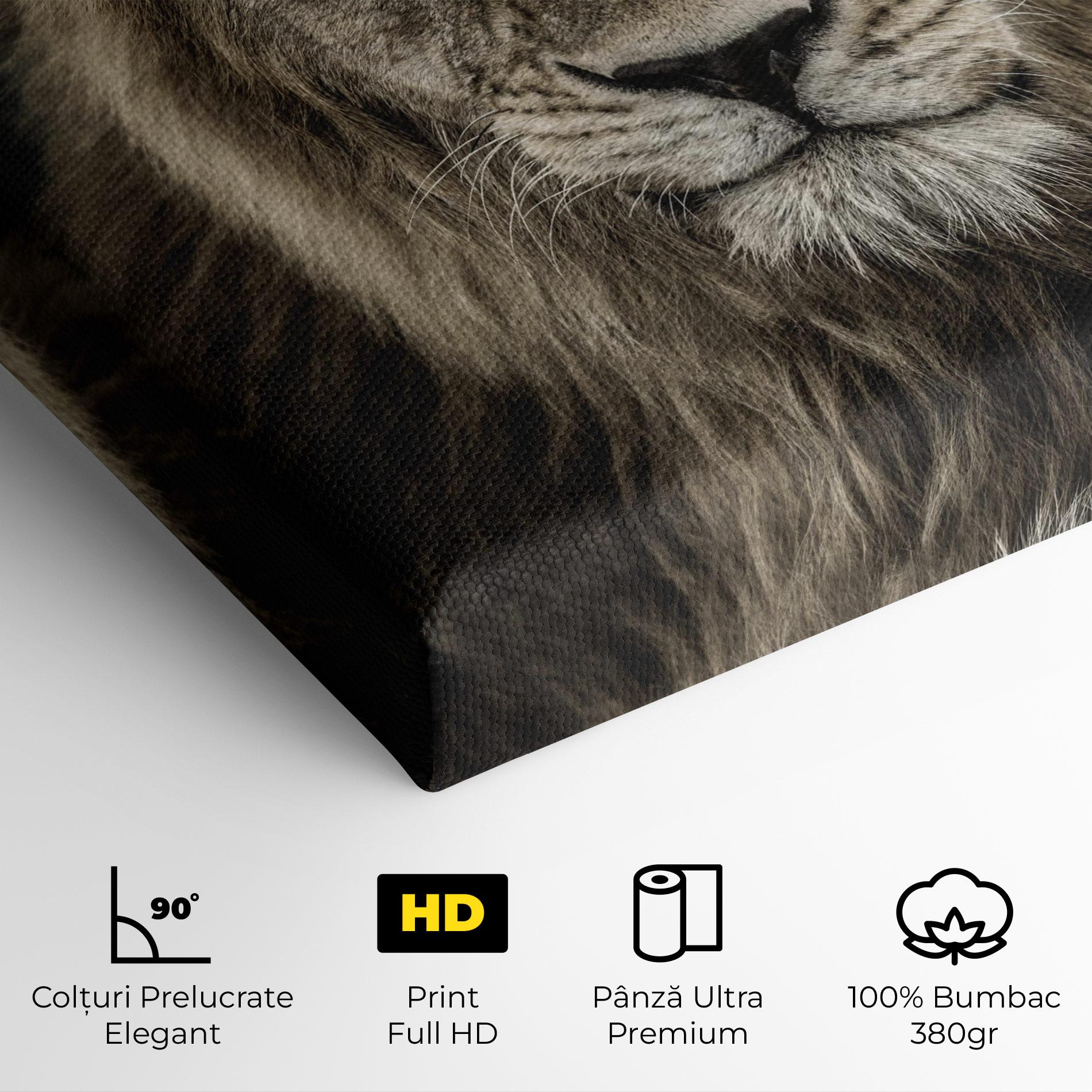 Tablou Canvas Lion Close Up mockup 4