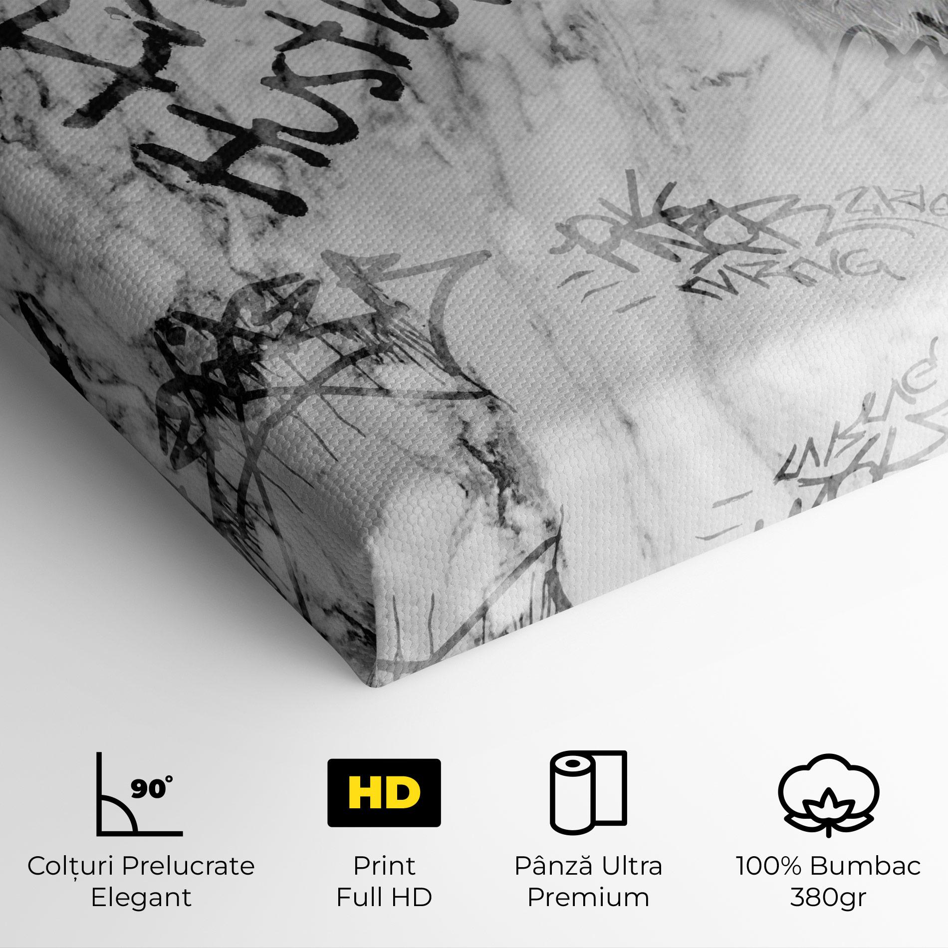 Tablou Canvas Lion Hustler mockup 4