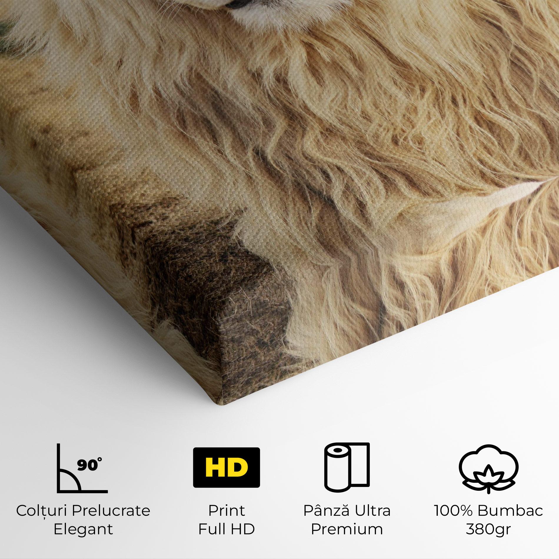 Tablou Canvas White Lion mockup 4