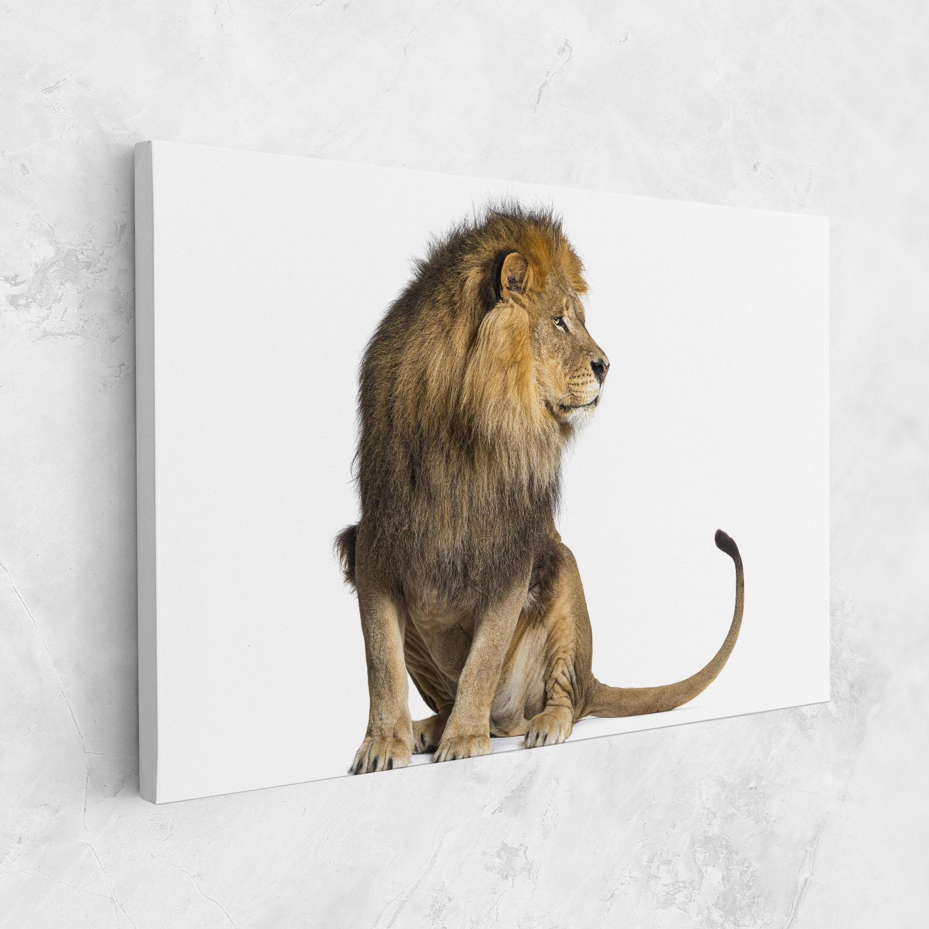 Tablou Canvas Big Lion mockup 1
