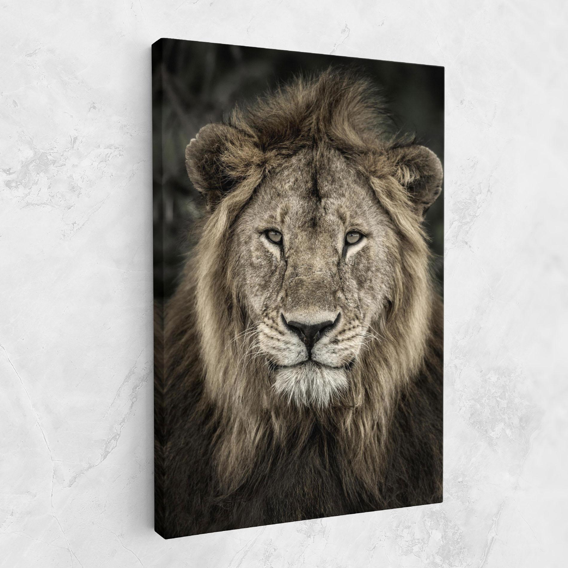 Tablou Canvas Lion Close Up mockup 1
