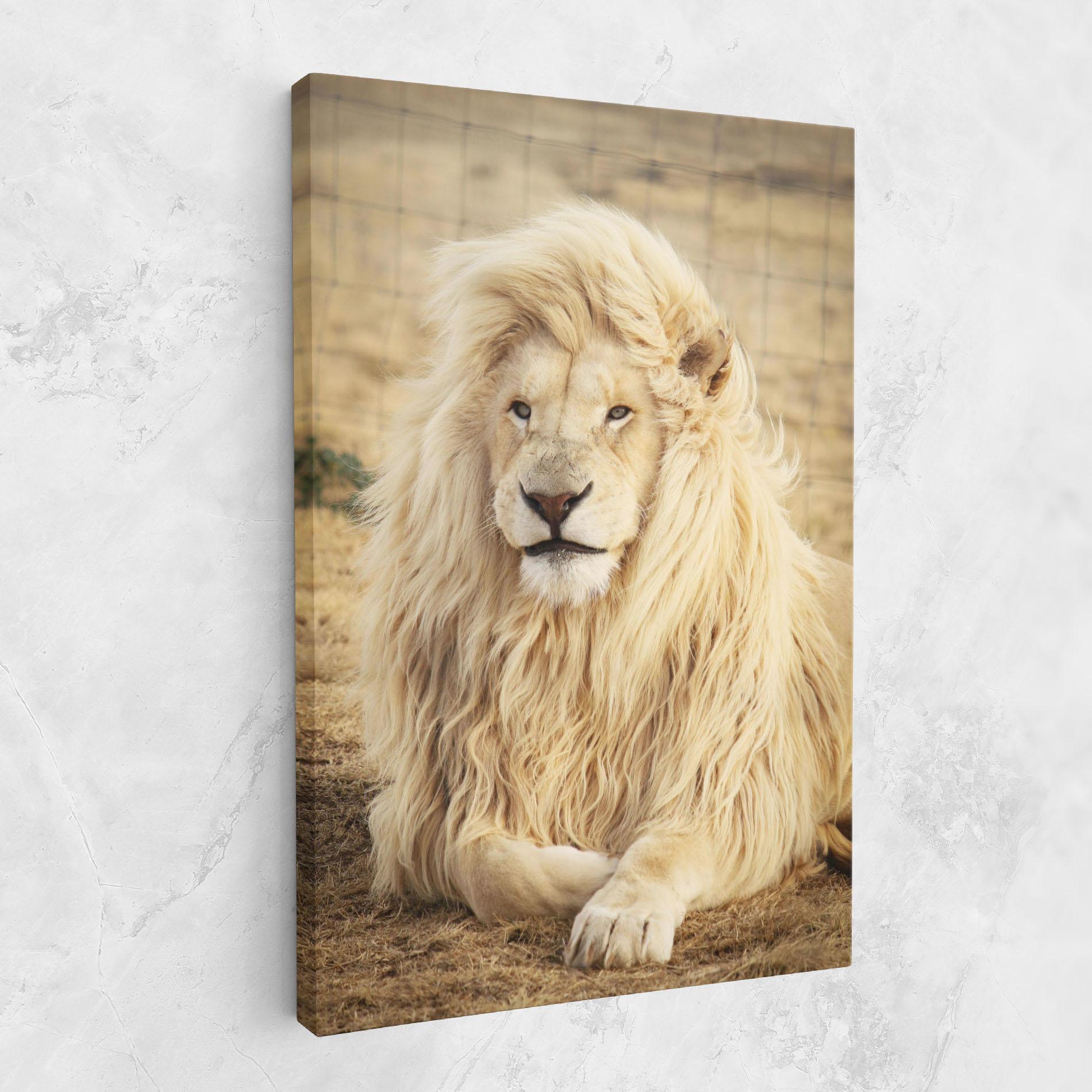 Tablou Canvas White Lion mockup 1