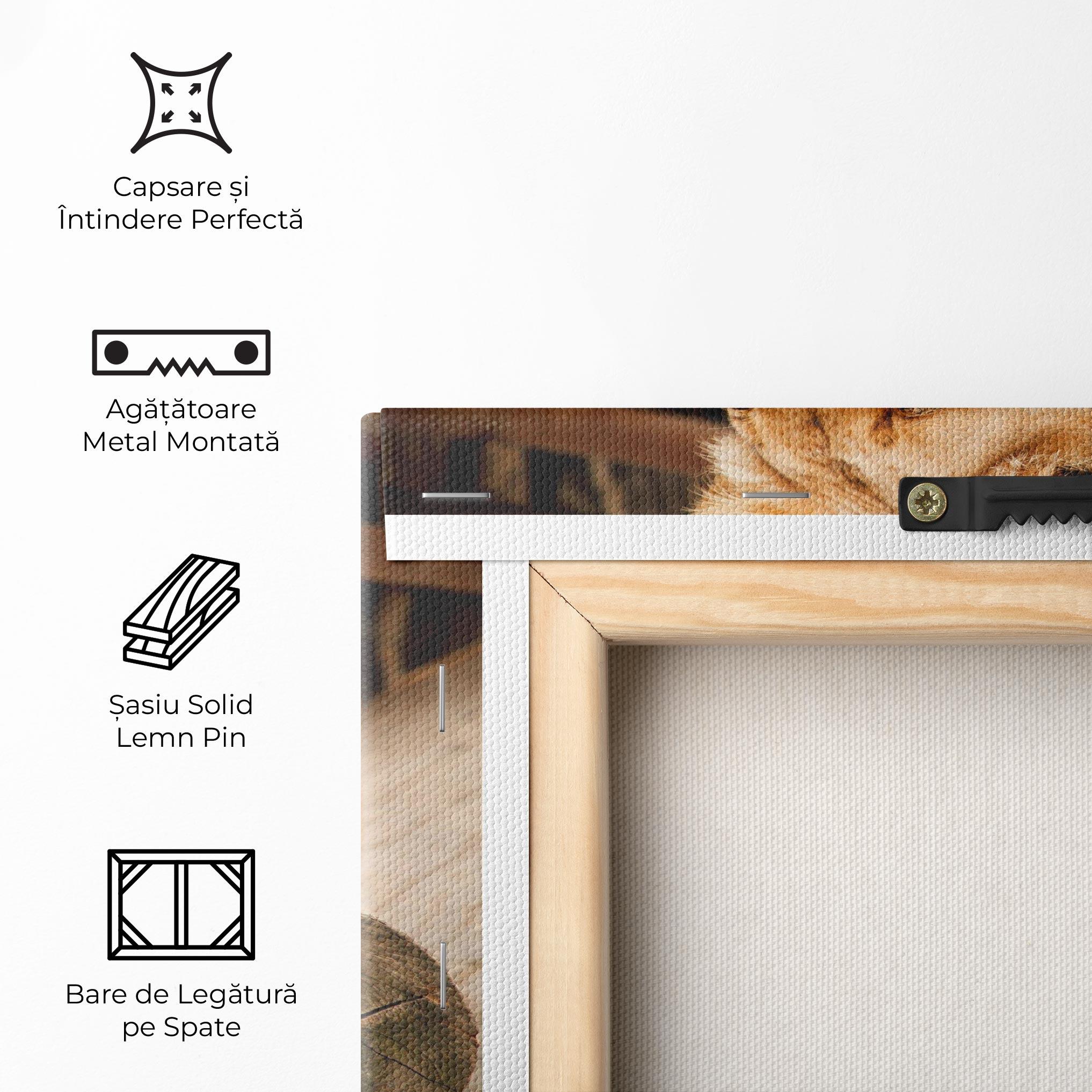 Tablou Canvas Female Lion Sitting mockup 5