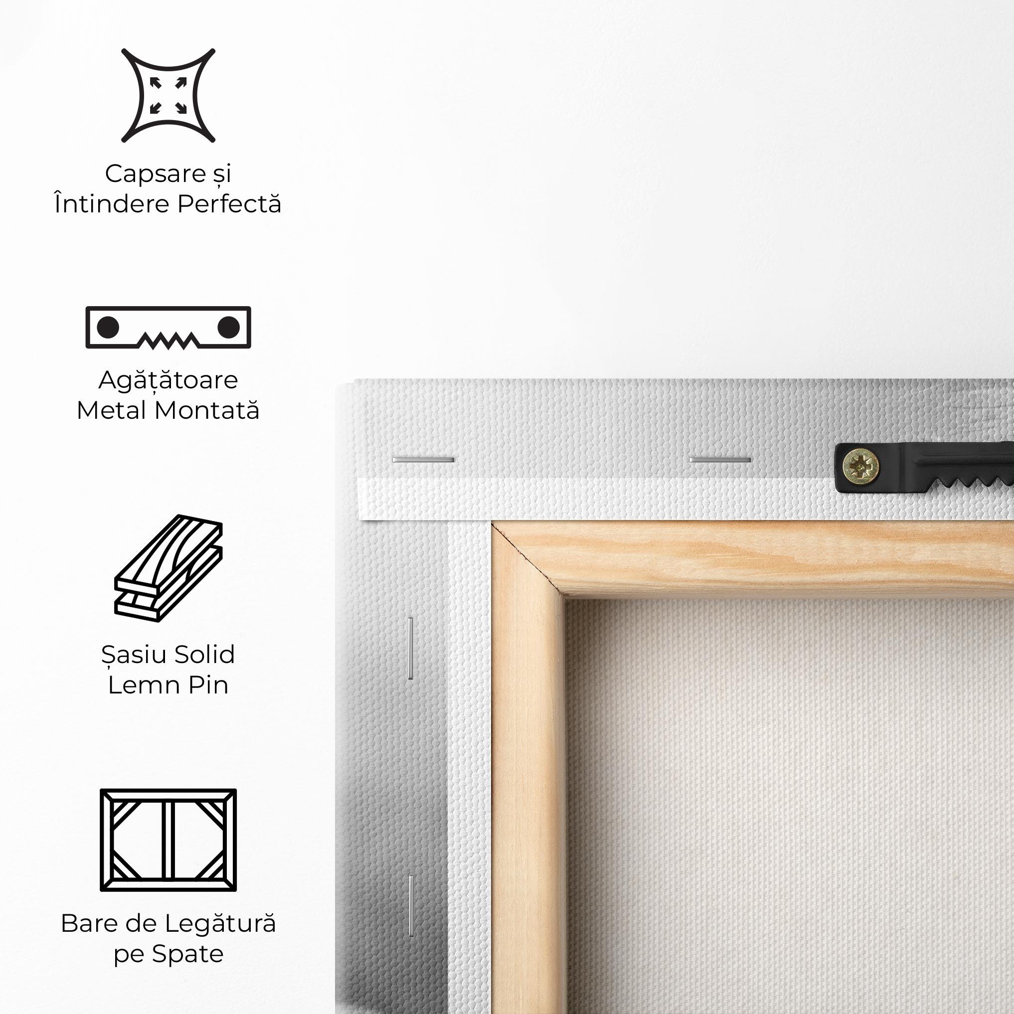 Tablou Canvas Grey Lion Head mockup 5