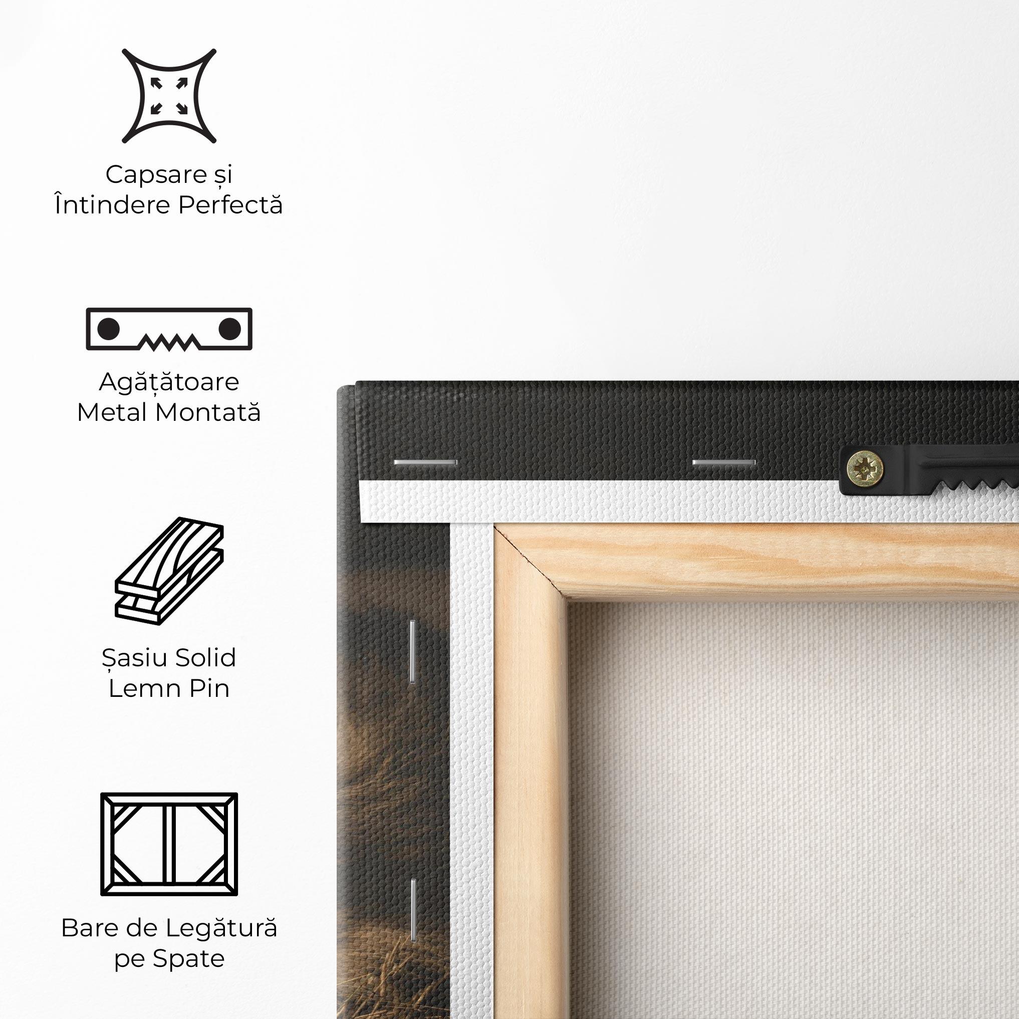 Tablou Canvas Lion Laying Down mockup 5