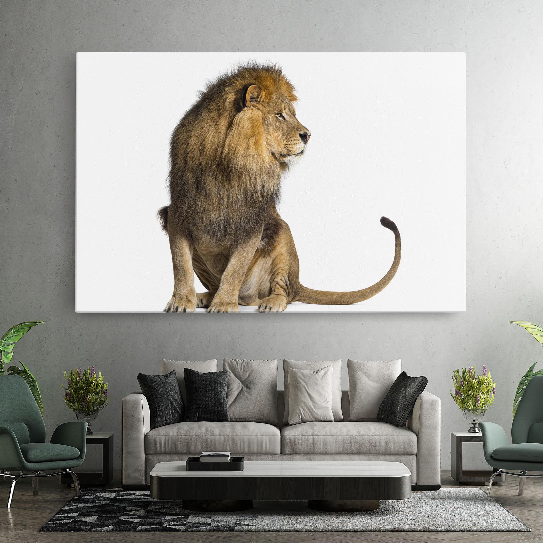 Tablou Canvas Big Lion mockup 7
