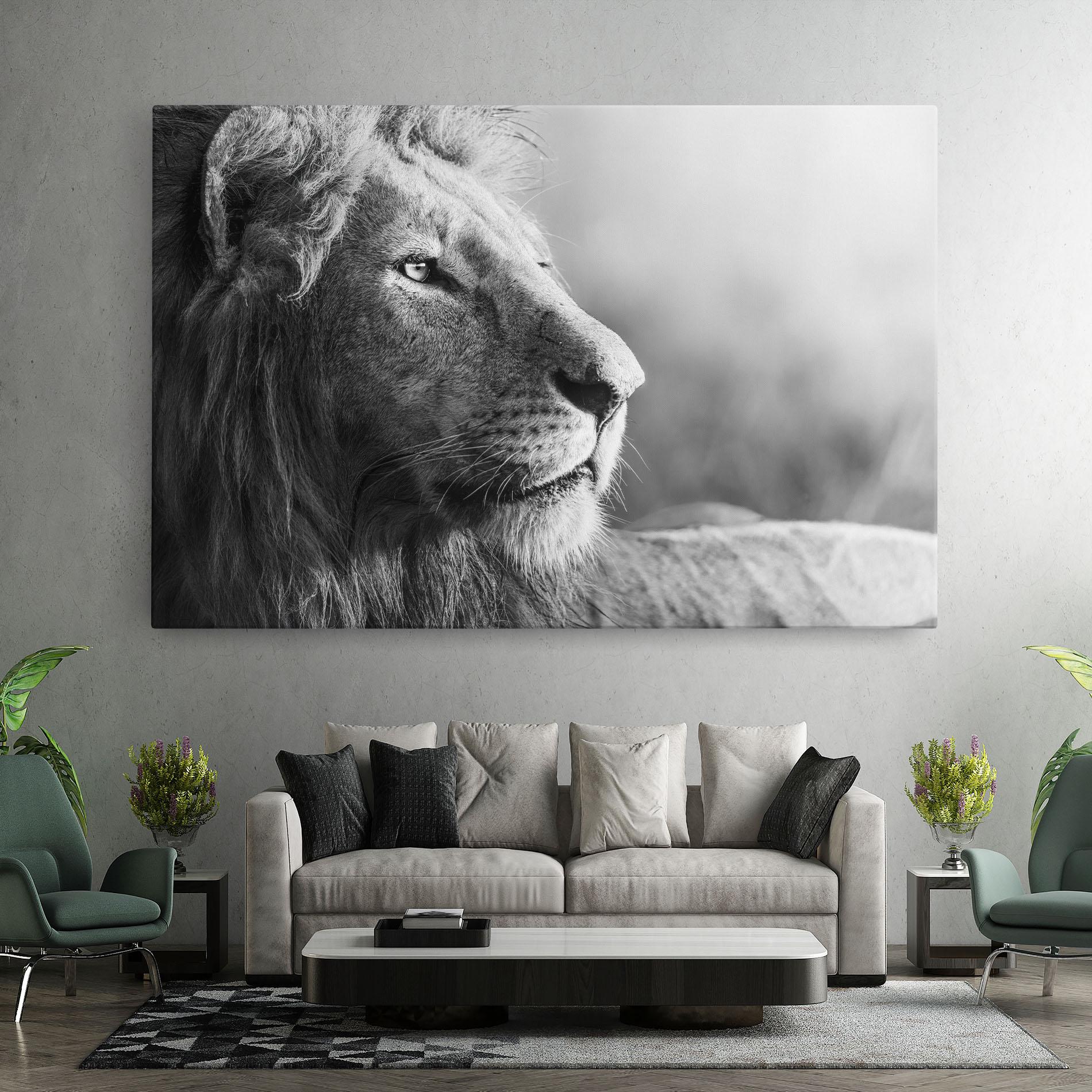 Tablou Canvas Grey Lion Head mockup 7