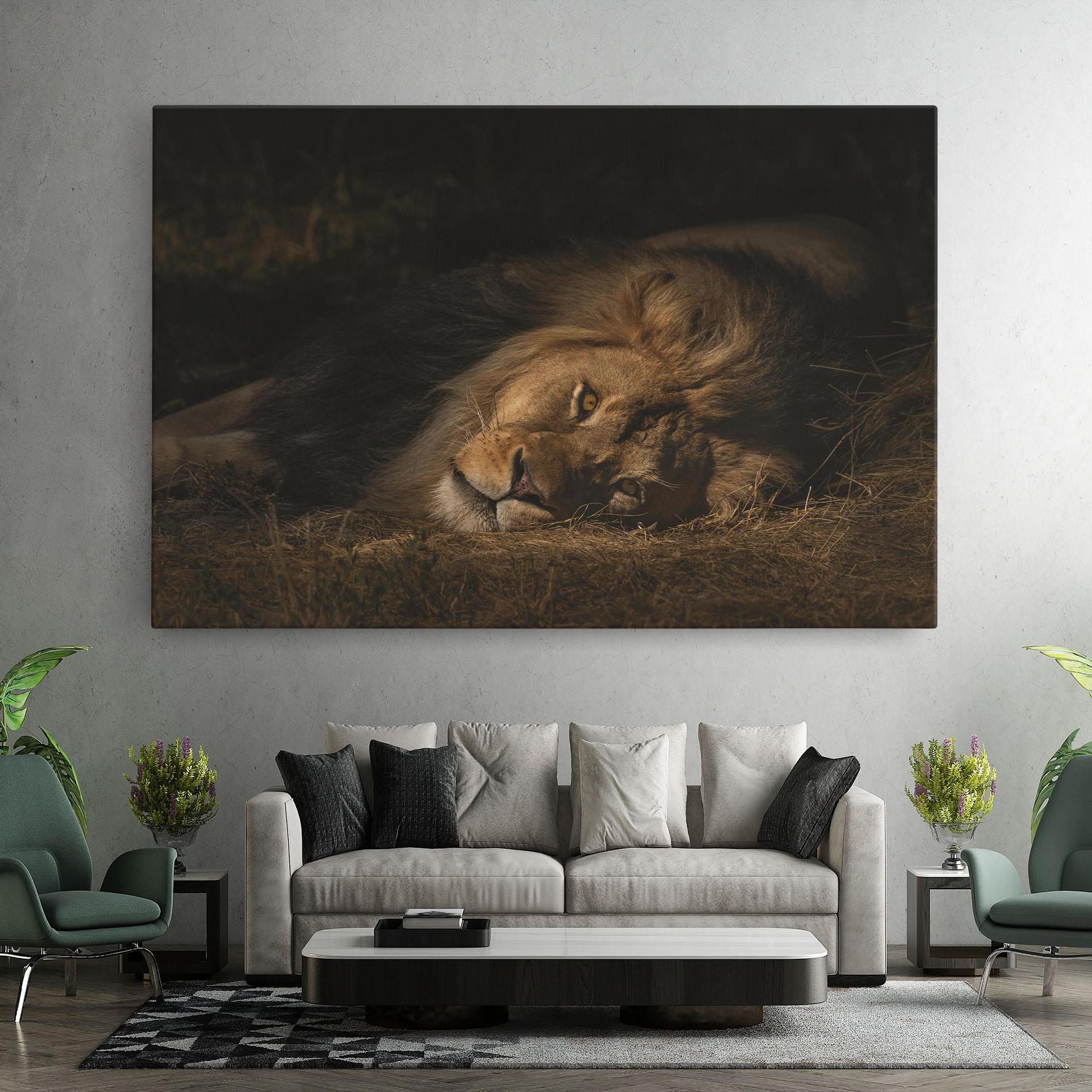 Tablou Canvas Lion Laying Down mockup 7