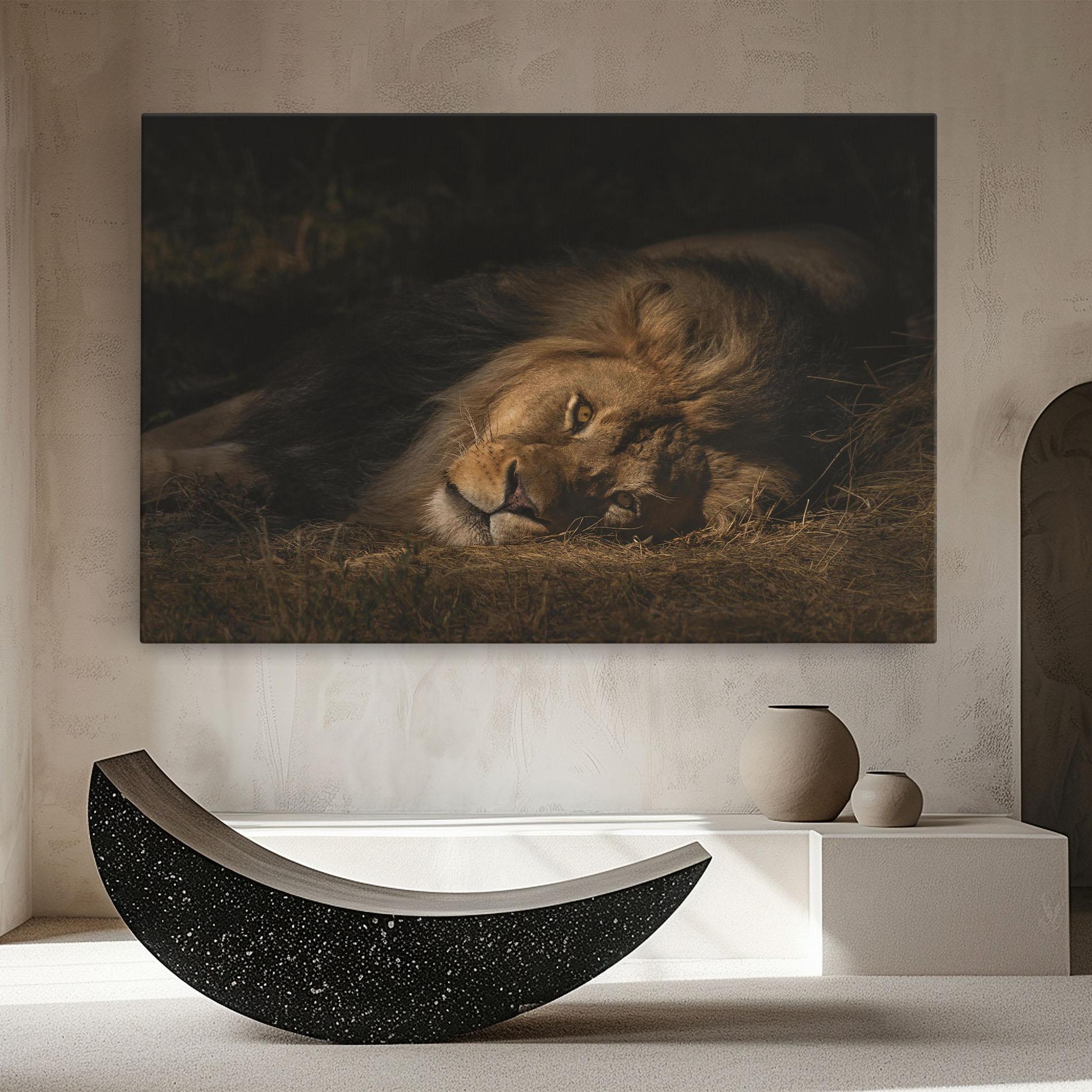 Tablou Canvas Lion Laying Down mockup 8