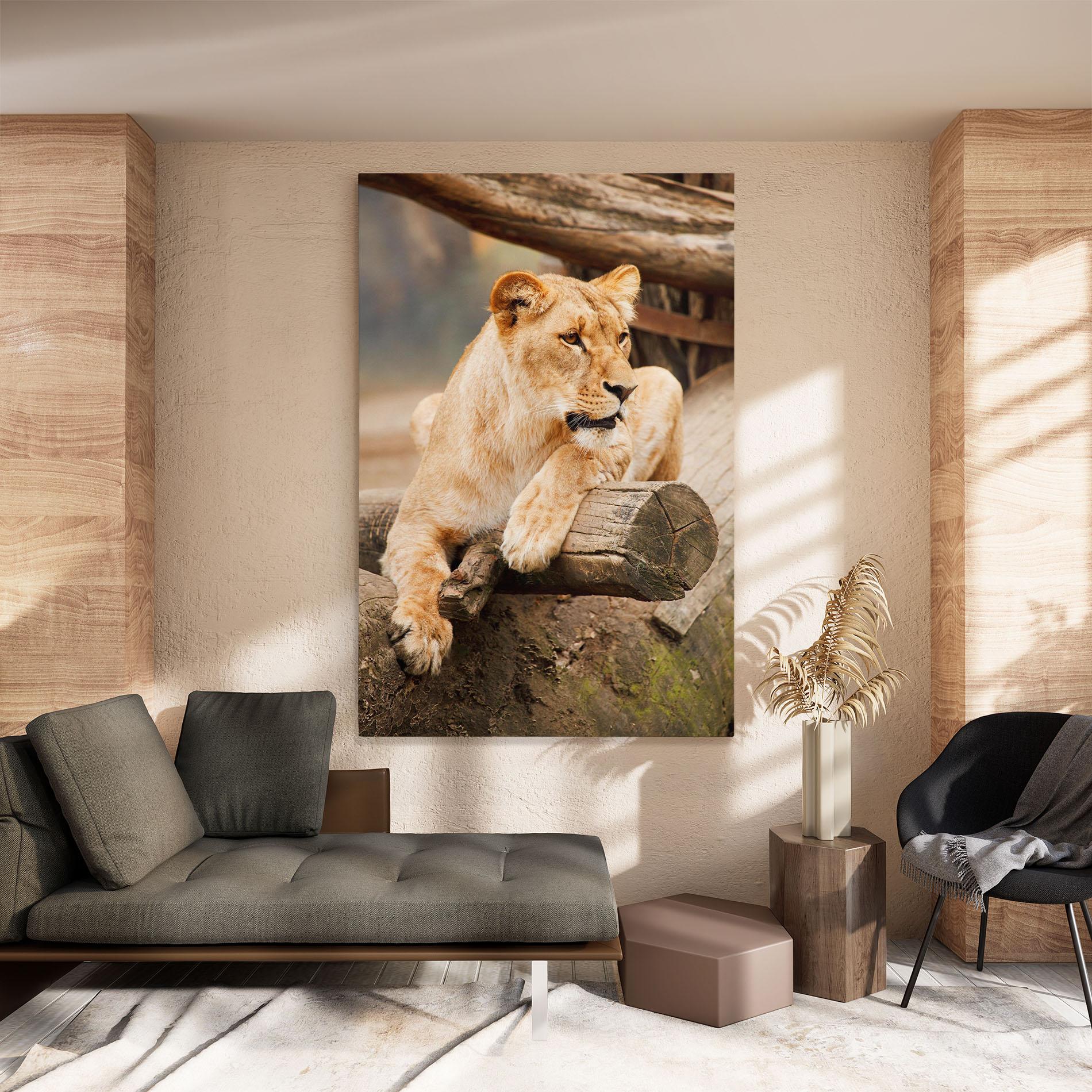 Tablou Canvas Female Lion Sitting mockup 8