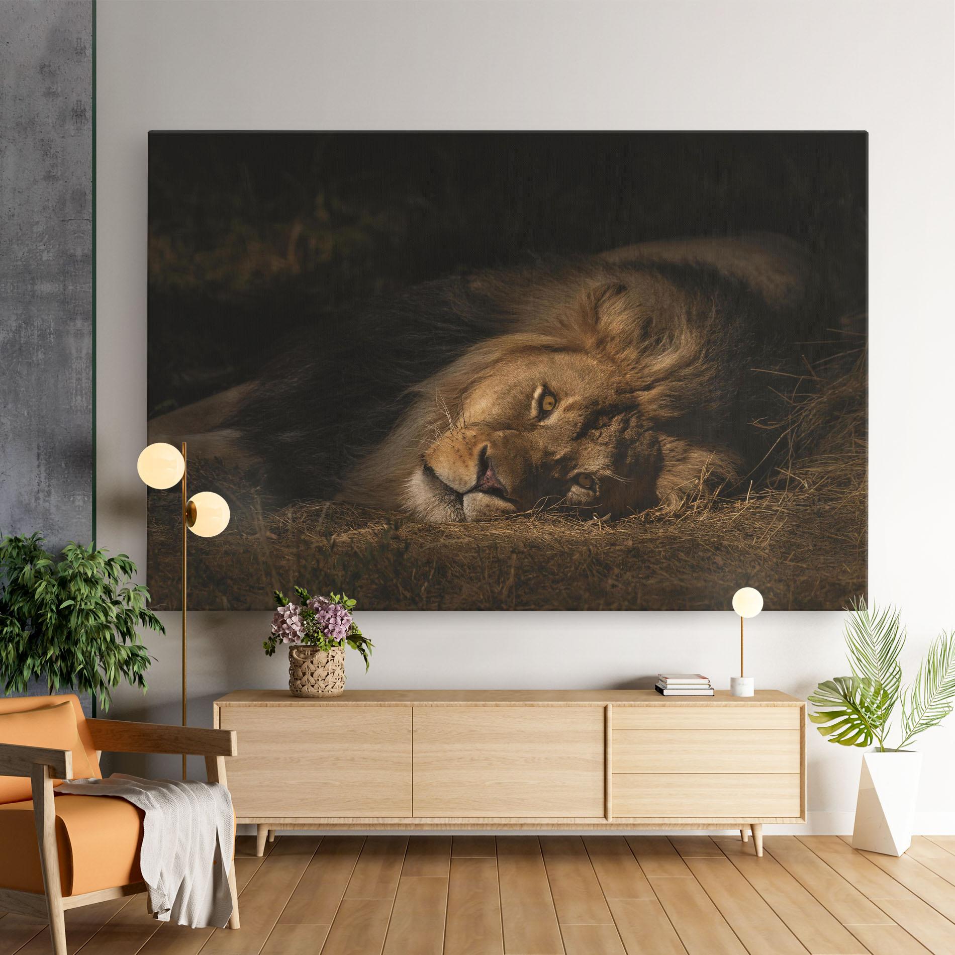 Tablou Canvas Lion Laying Down mockup 9