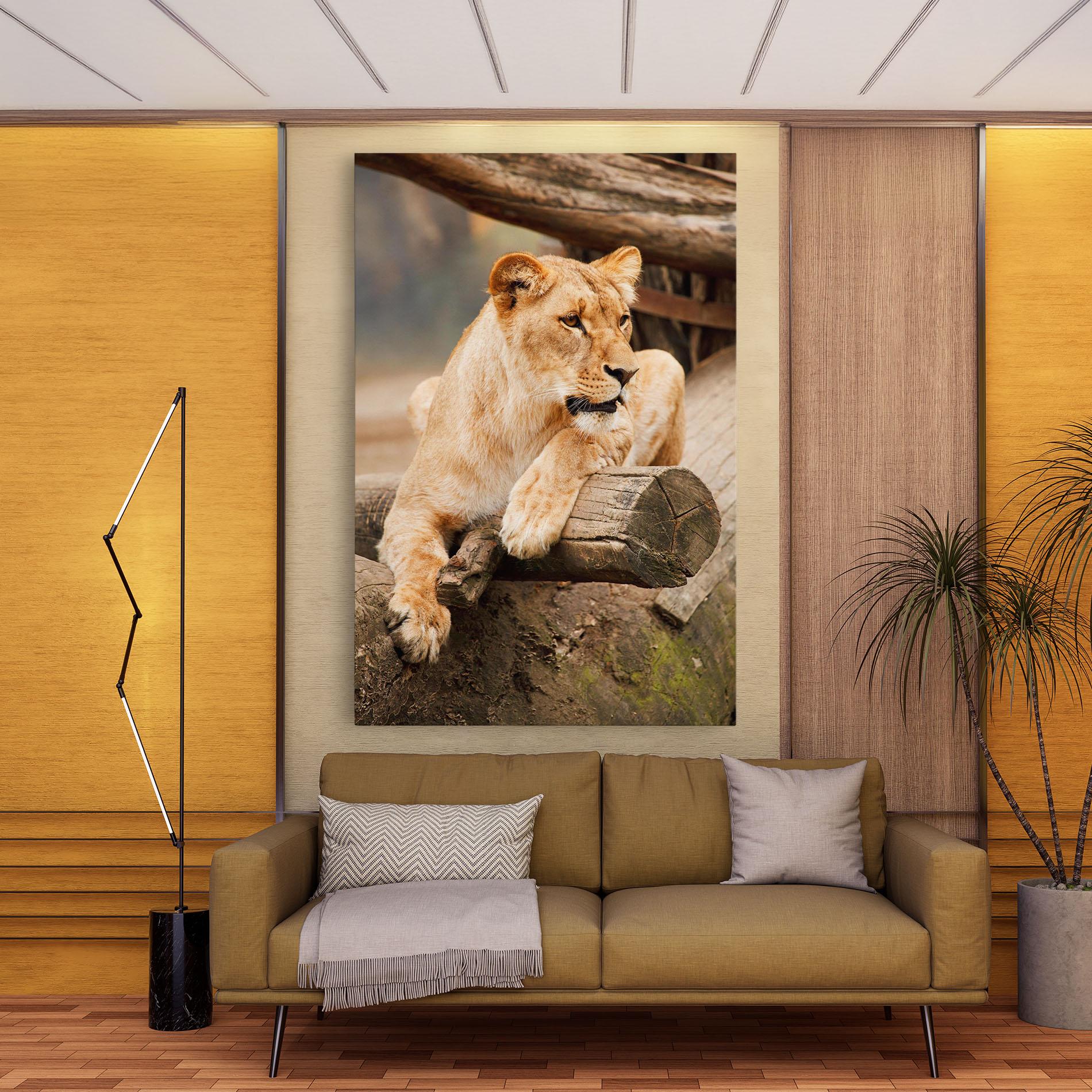 Tablou Canvas Female Lion Sitting mockup 9