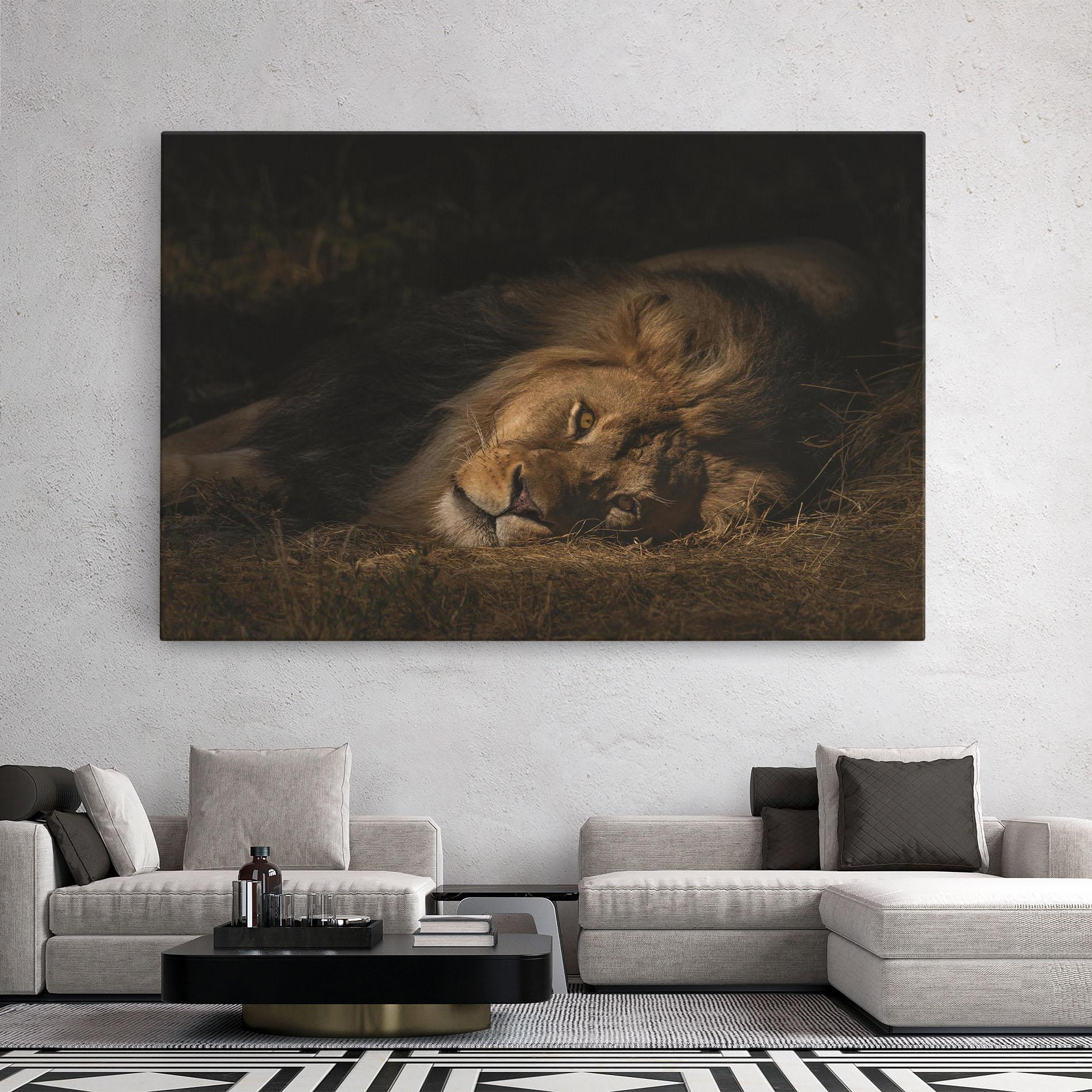 Tablou Canvas Lion Laying Down mockup 2