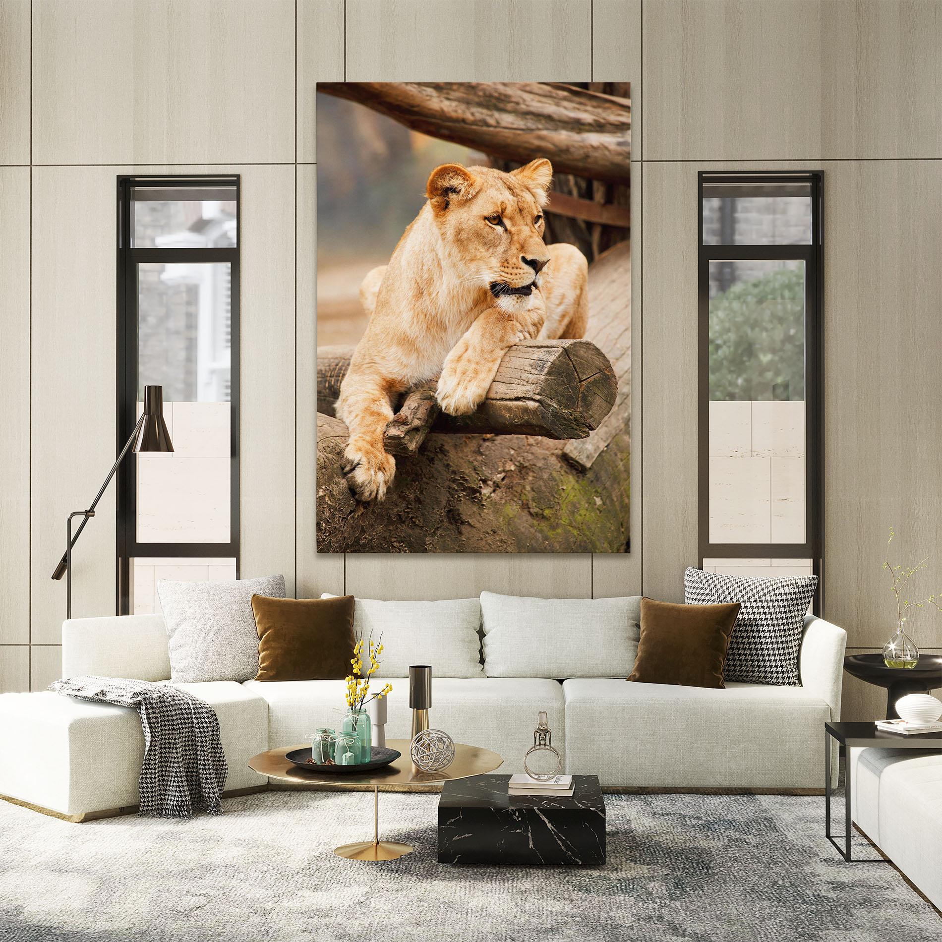 Tablou Canvas Female Lion Sitting mockup 2