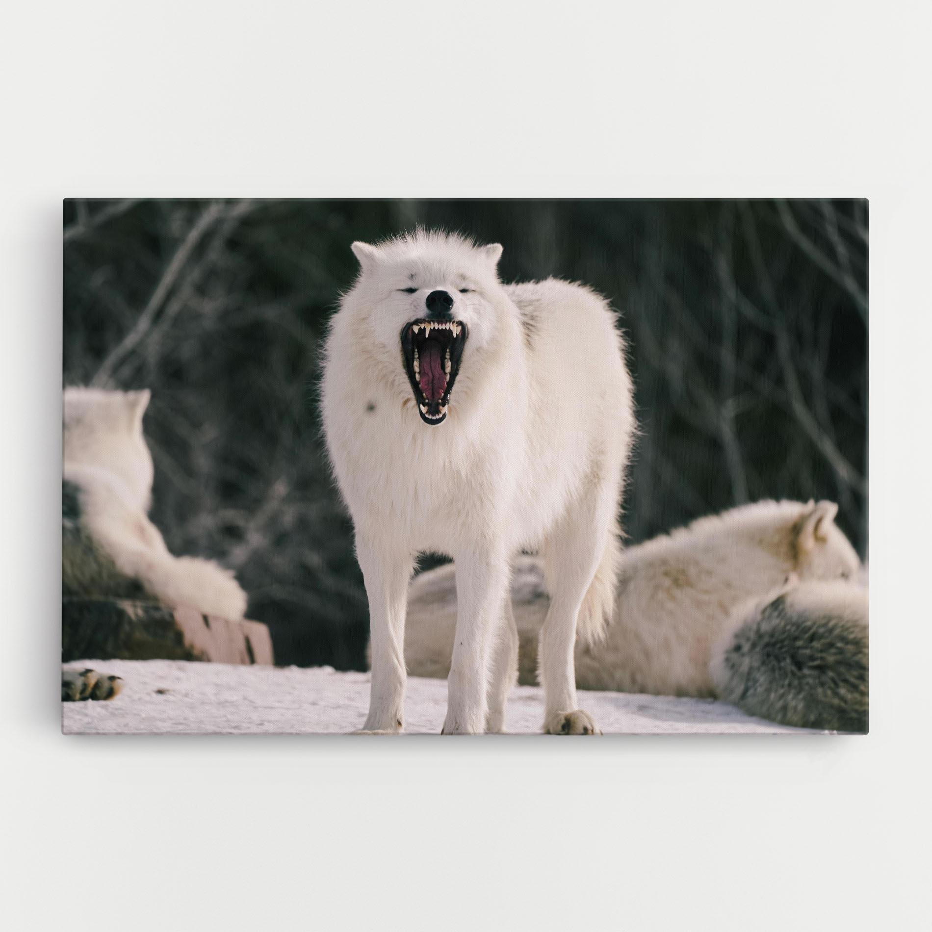 Tablou Canvas Laughing White Wolf mockup 0