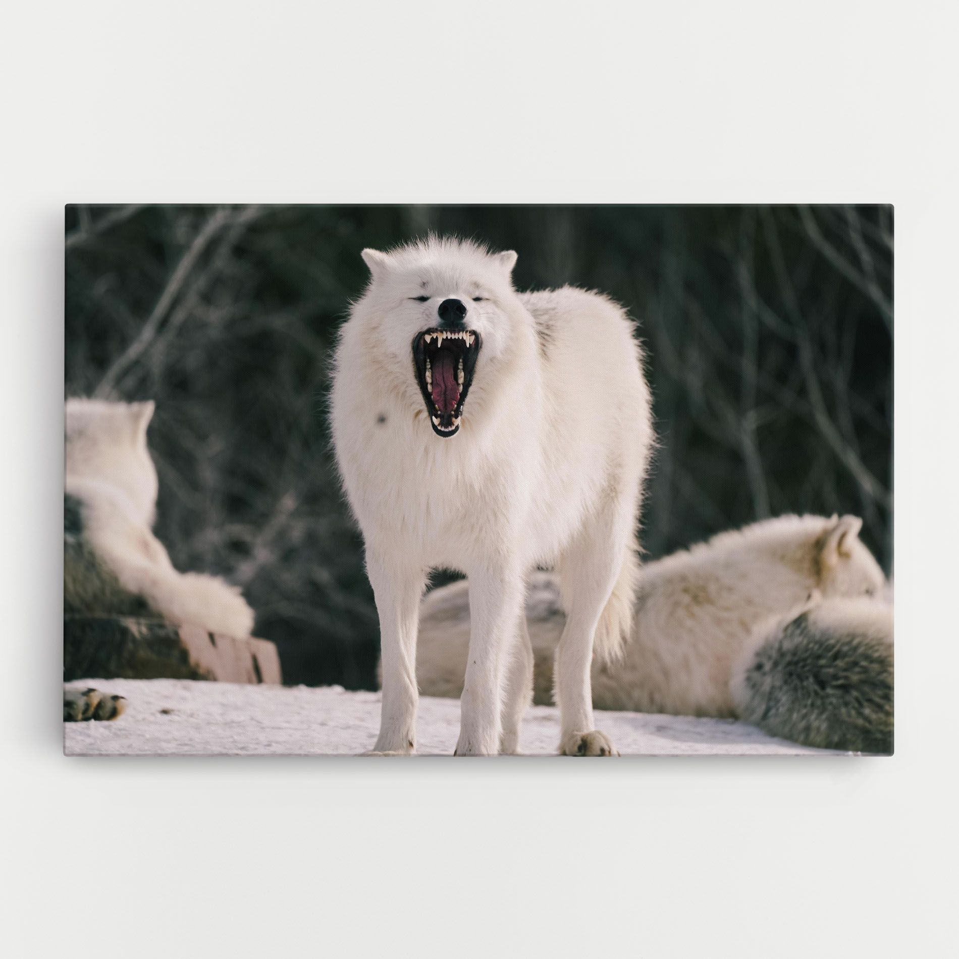 Laughing White Wolf mockup 0