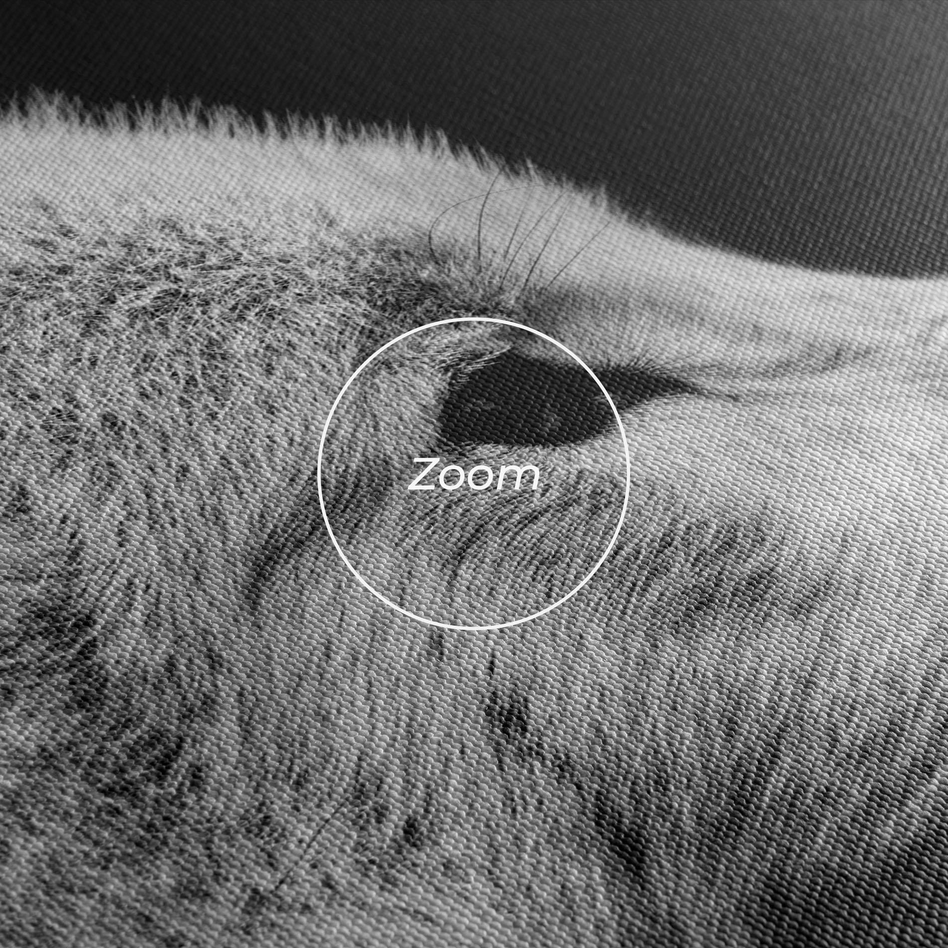 Tablou Canvas Grey Wolf mockup 3