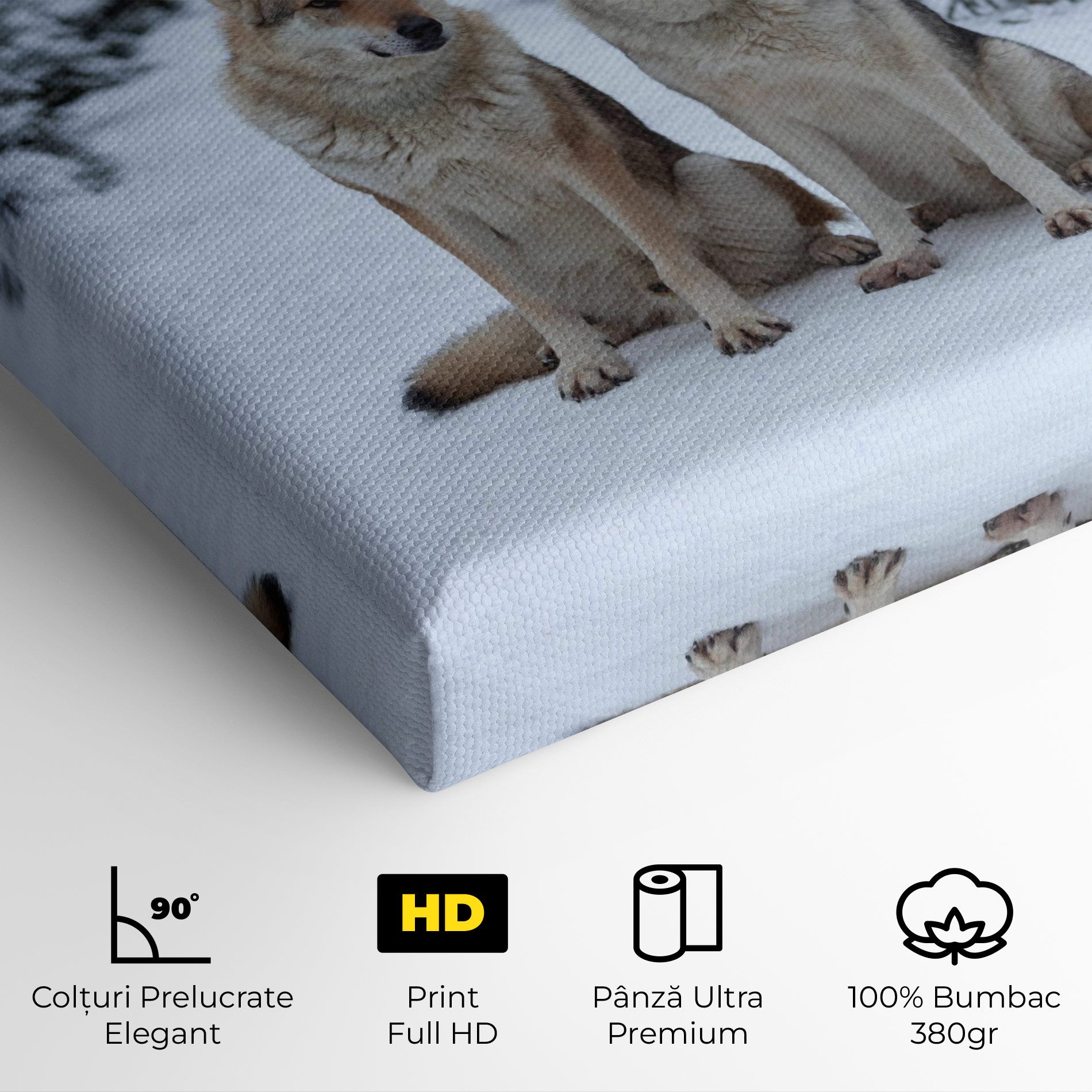 2 Wolfs Sitting mockup 4