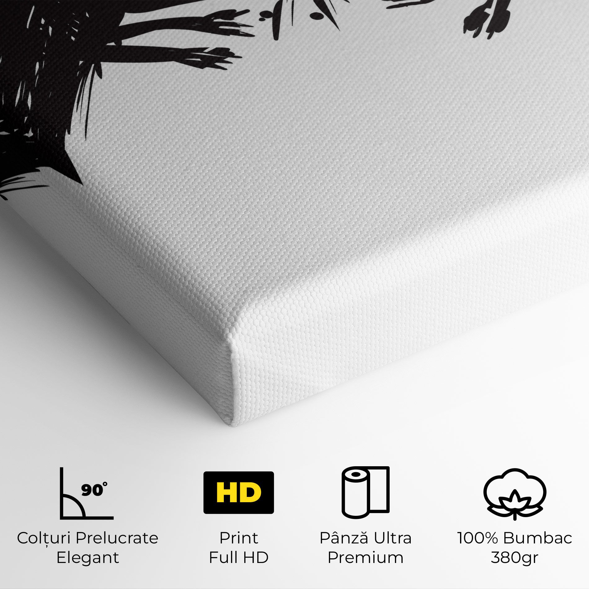 Black Wolves mockup 4