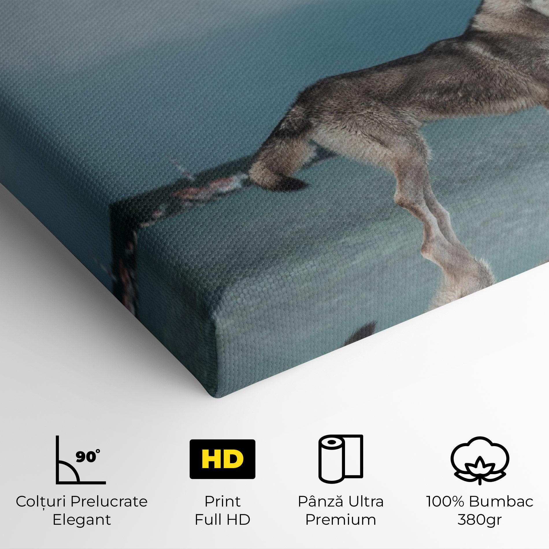 Tablou Canvas Grey Wolf Looking mockup 4