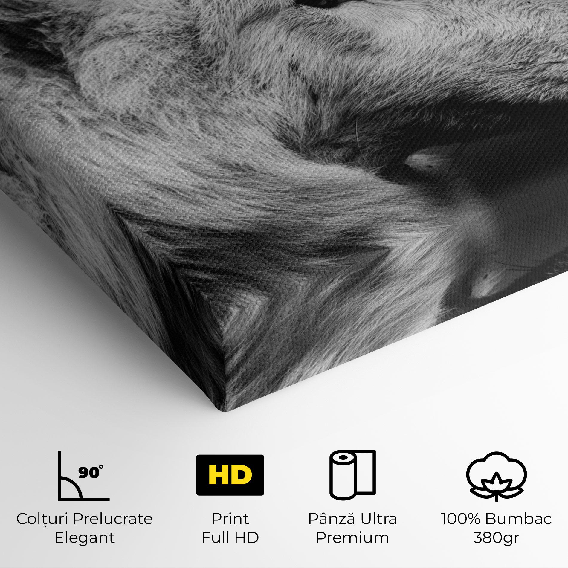 Tablou Canvas Grey Wolf mockup 4