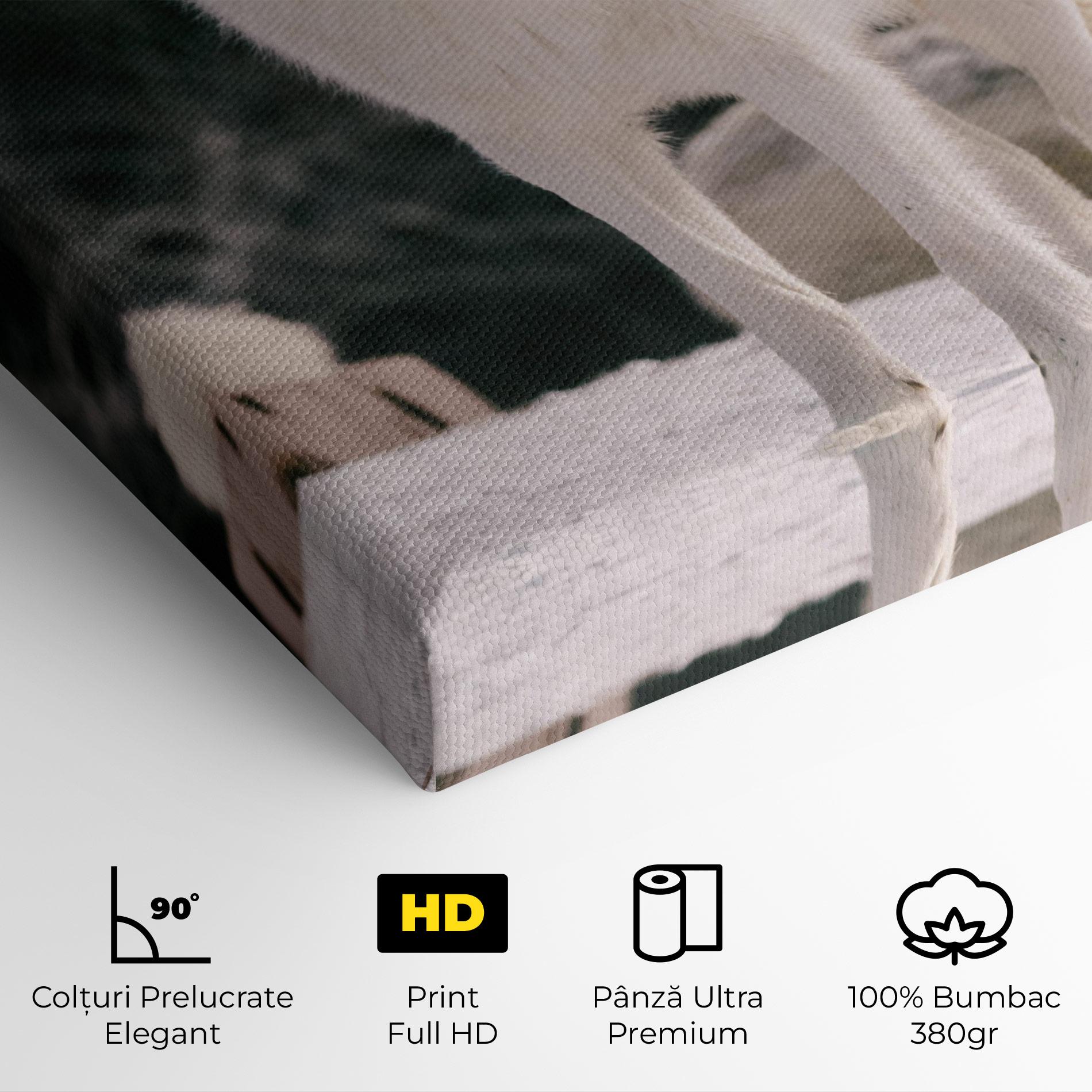 Tablou Canvas Laughing White Wolf mockup 4