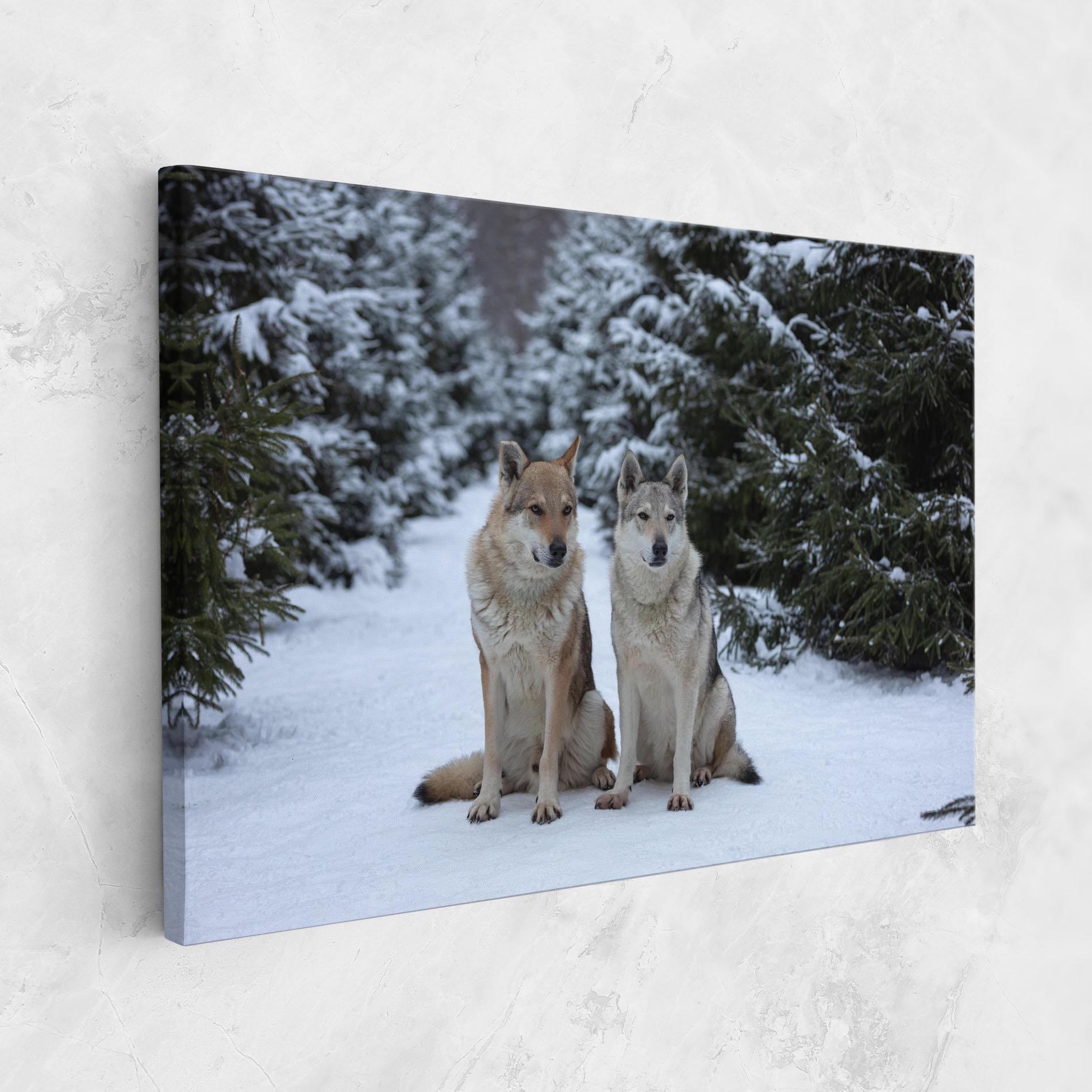 Tablou Canvas 2 Wolfs Sitting mockup 1