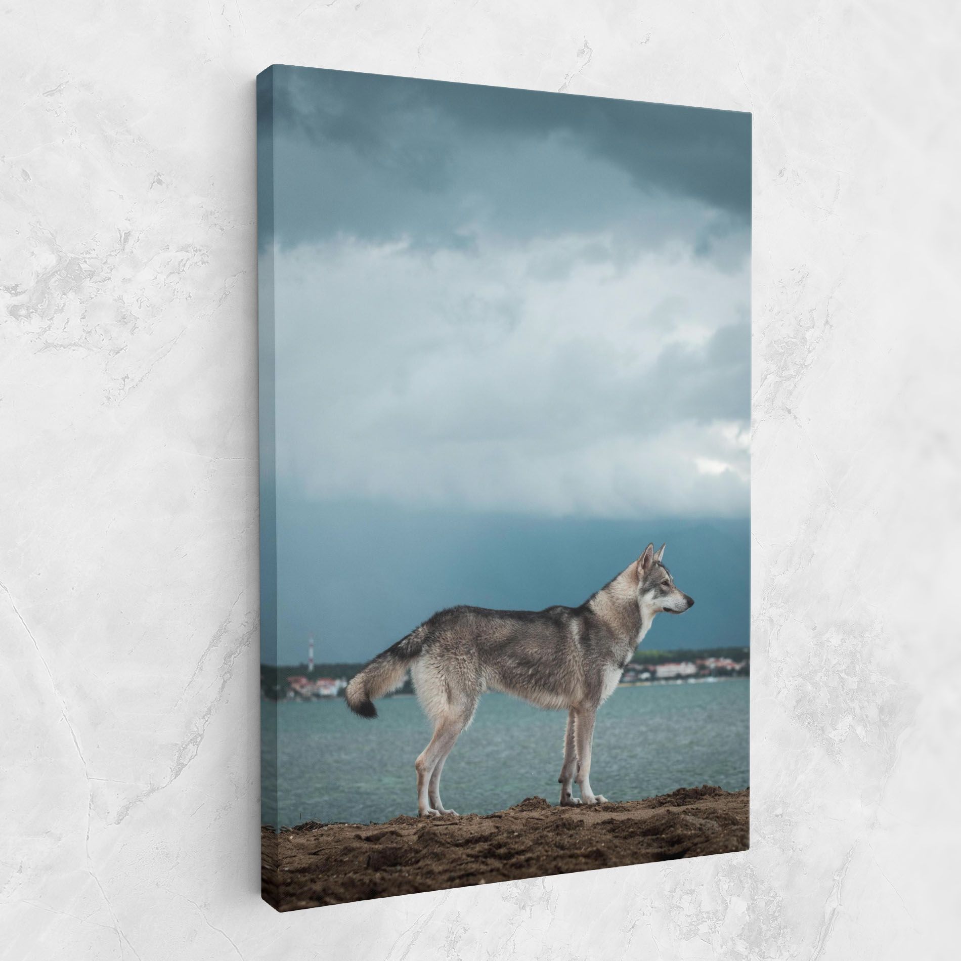 Grey Wolf Looking mockup 1