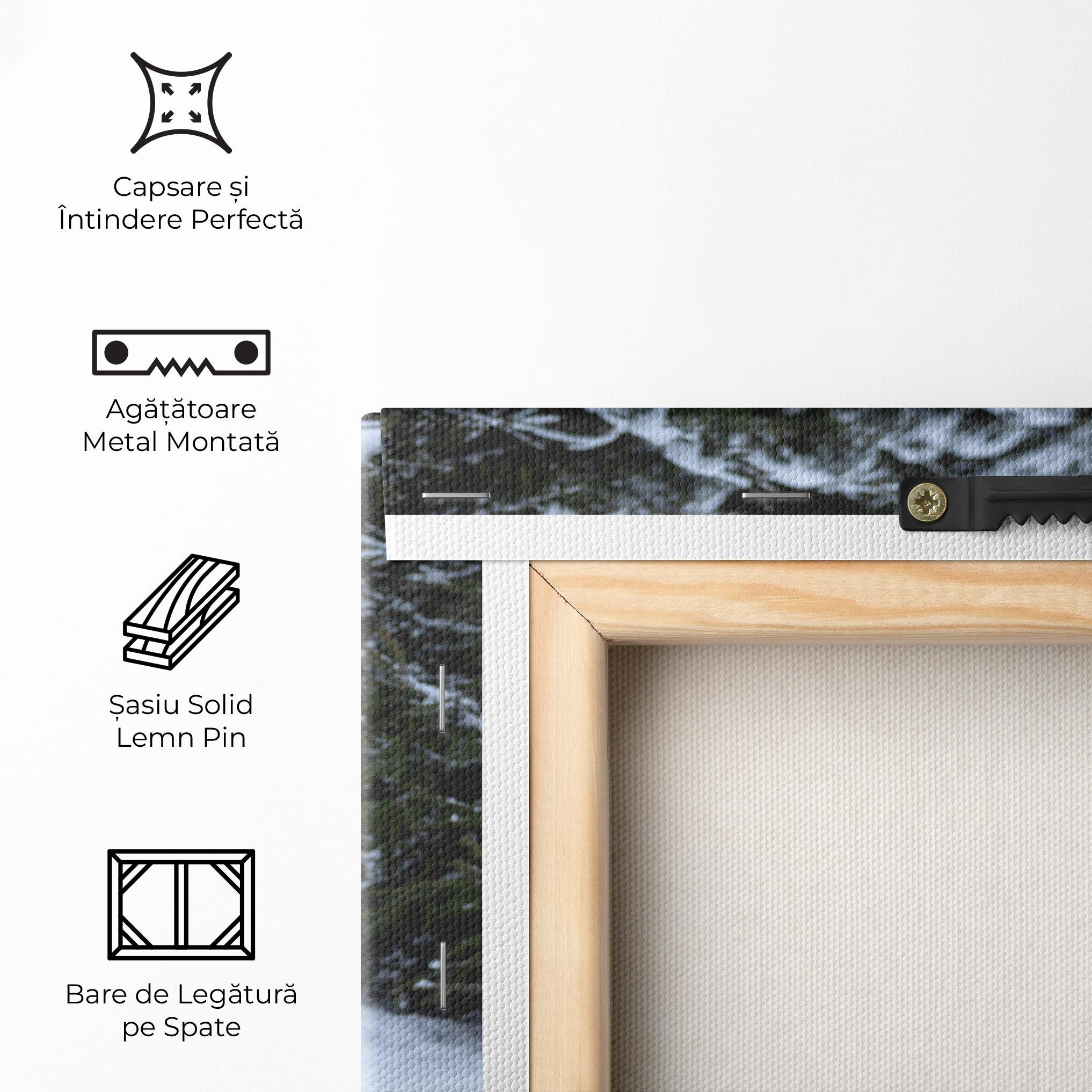 Tablou Canvas 2 Wolfs Sitting mockup 5