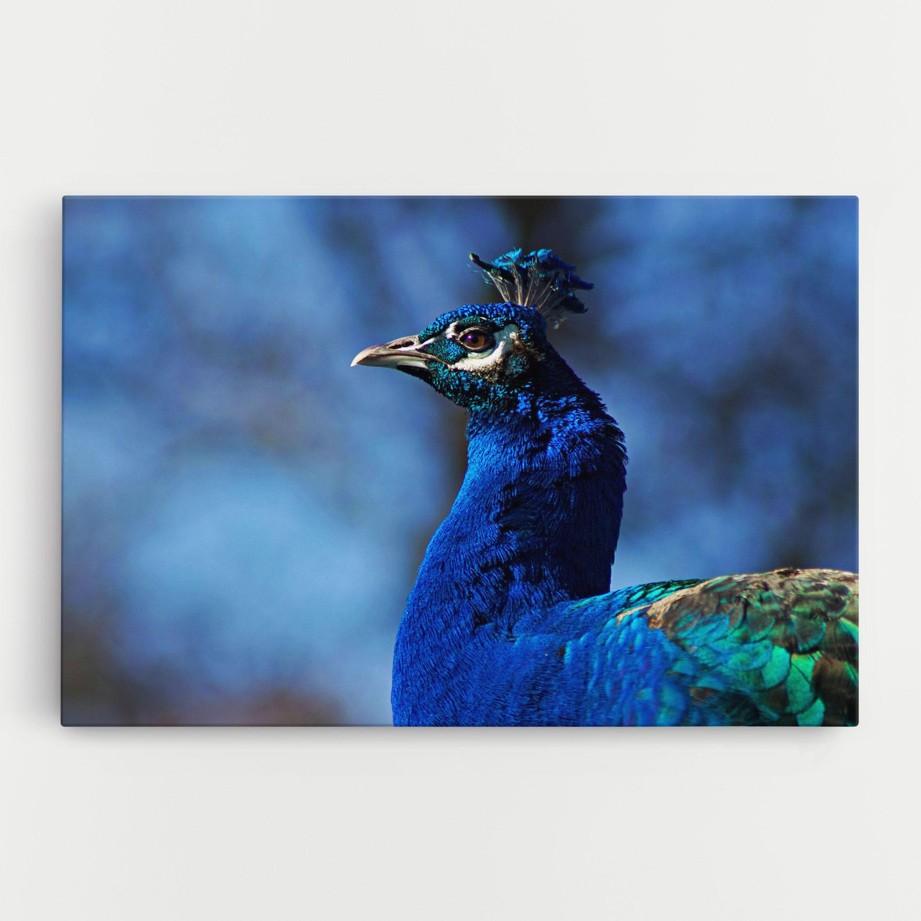 Tablou Canvas Blue Bird mockup 0