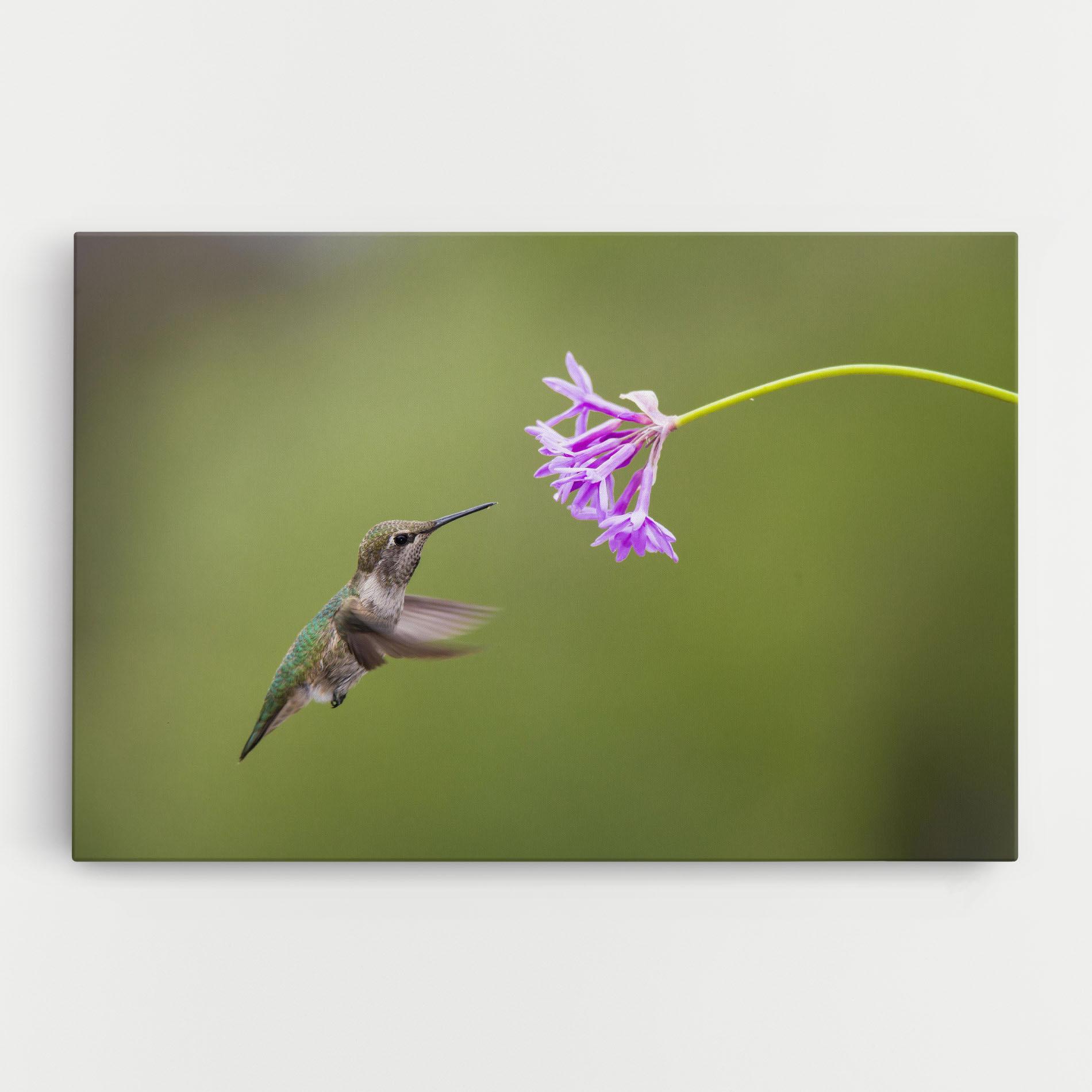 Tablou Canvas Cute Hummingbird mockup 0