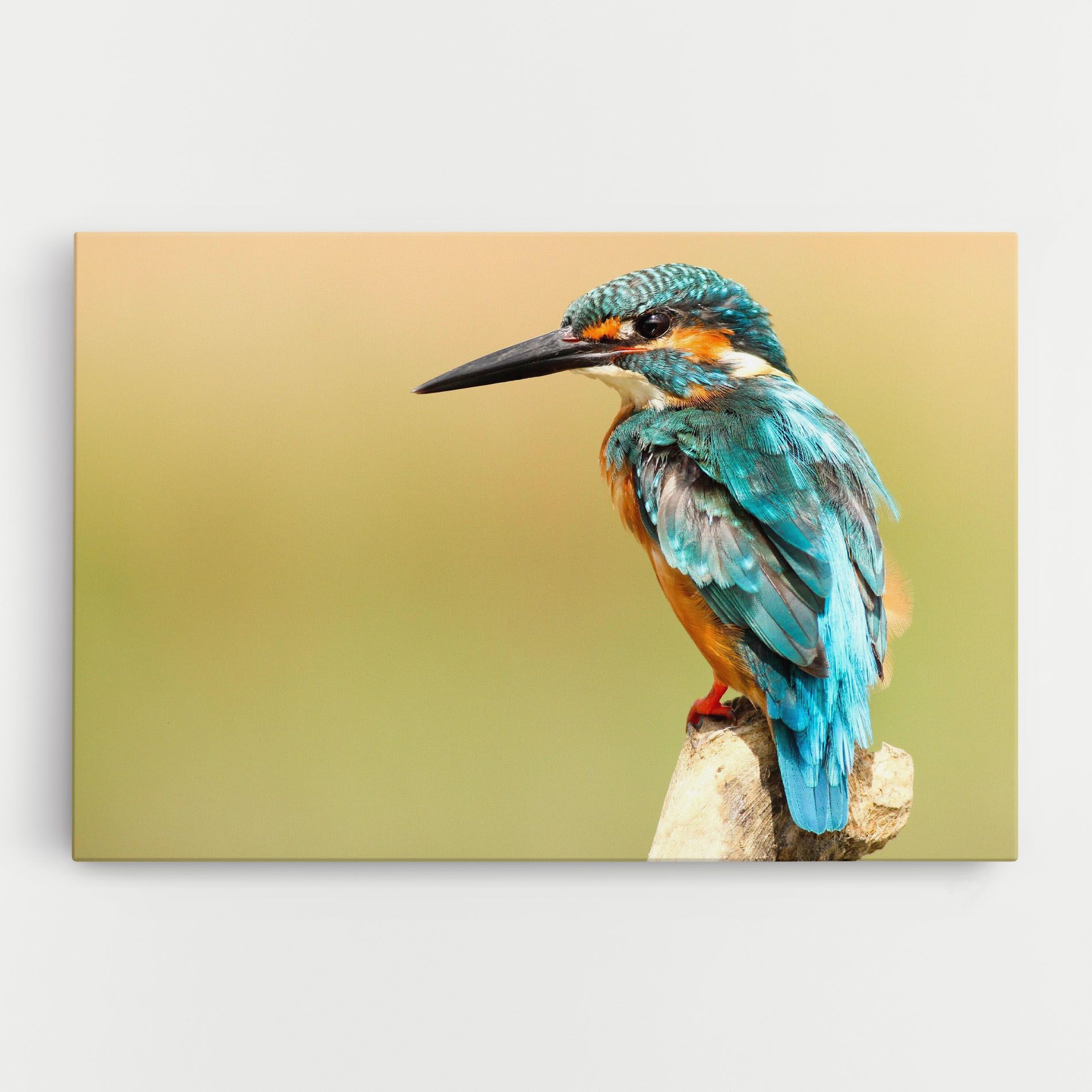 Light Blue Bird mockup 0