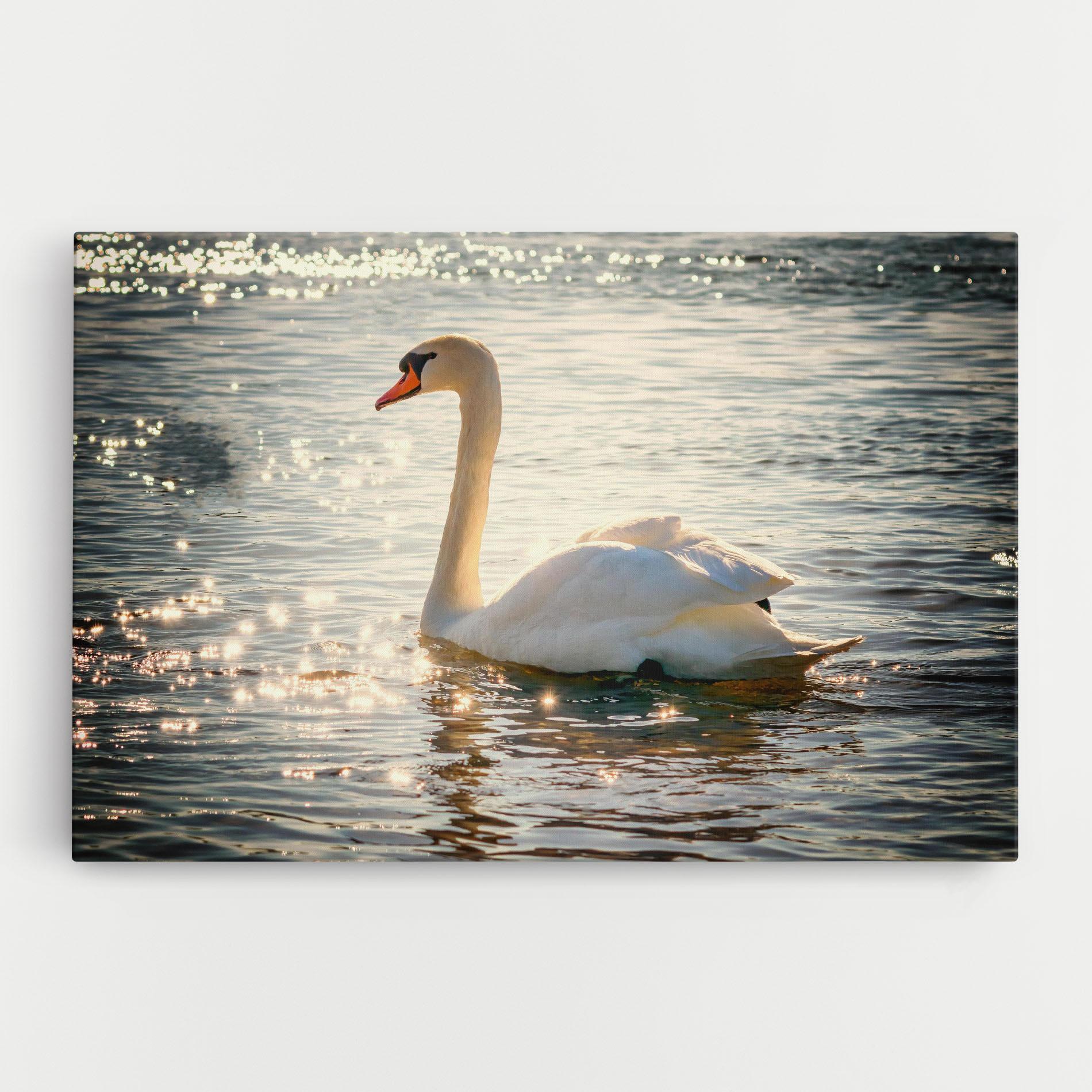 Tablou Canvas Swan On Lake mockup 0