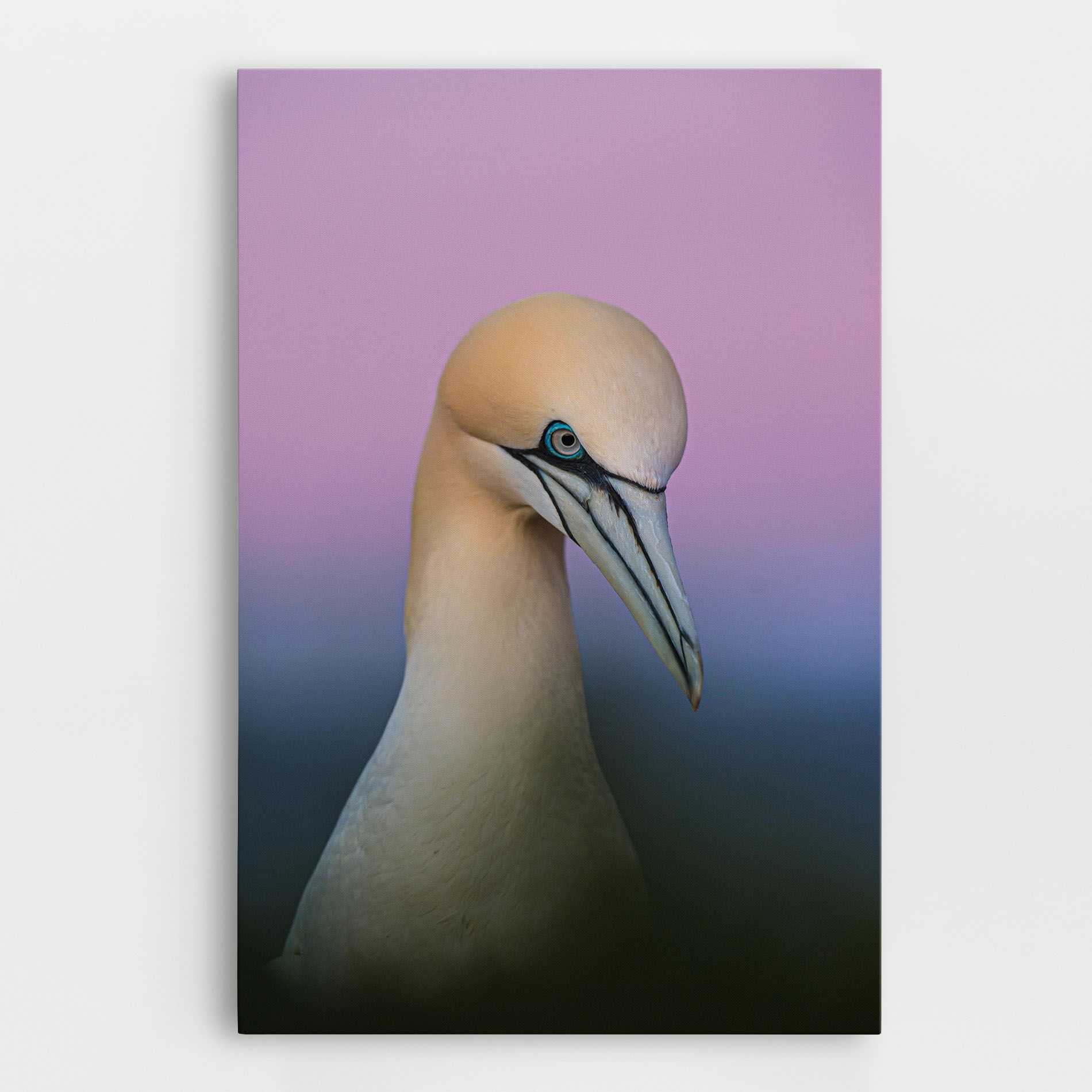 Bird Shades mockup 0