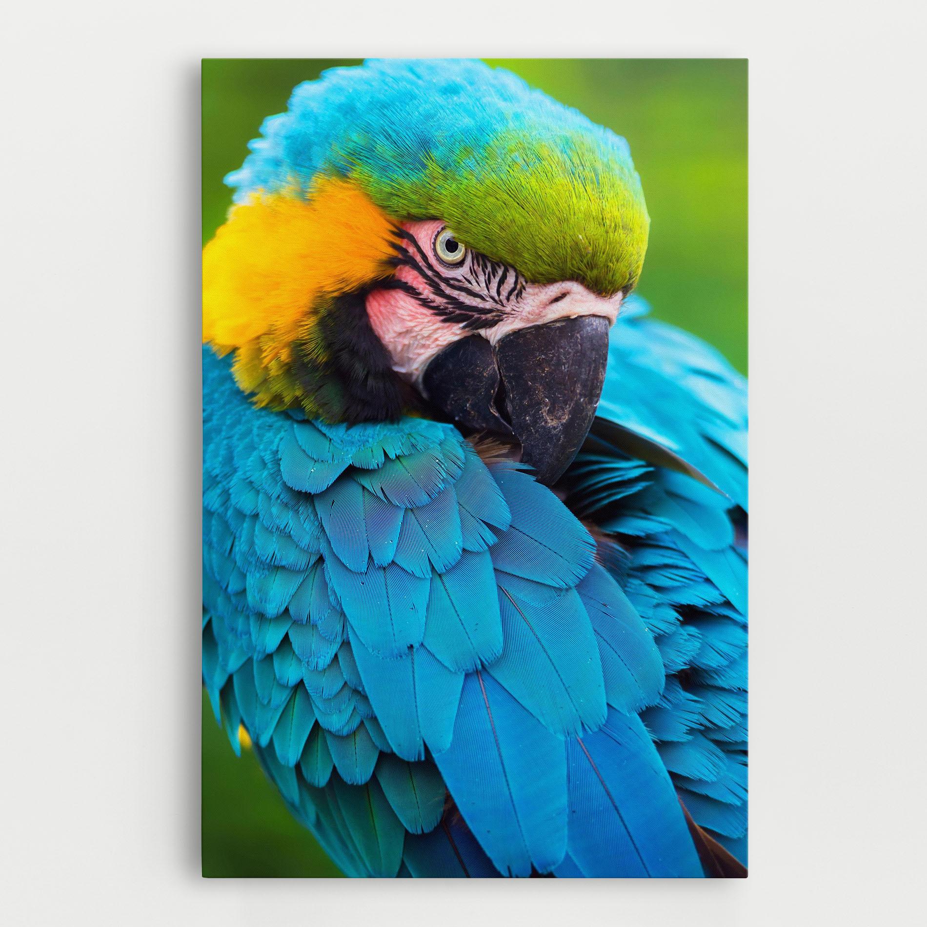 Tablou Canvas Blue Parrot mockup 0