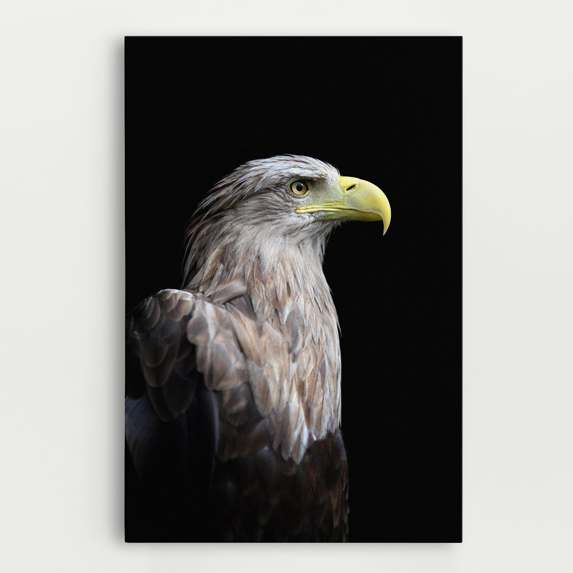 Tablou Canvas Close Up Eagle mockup 0
