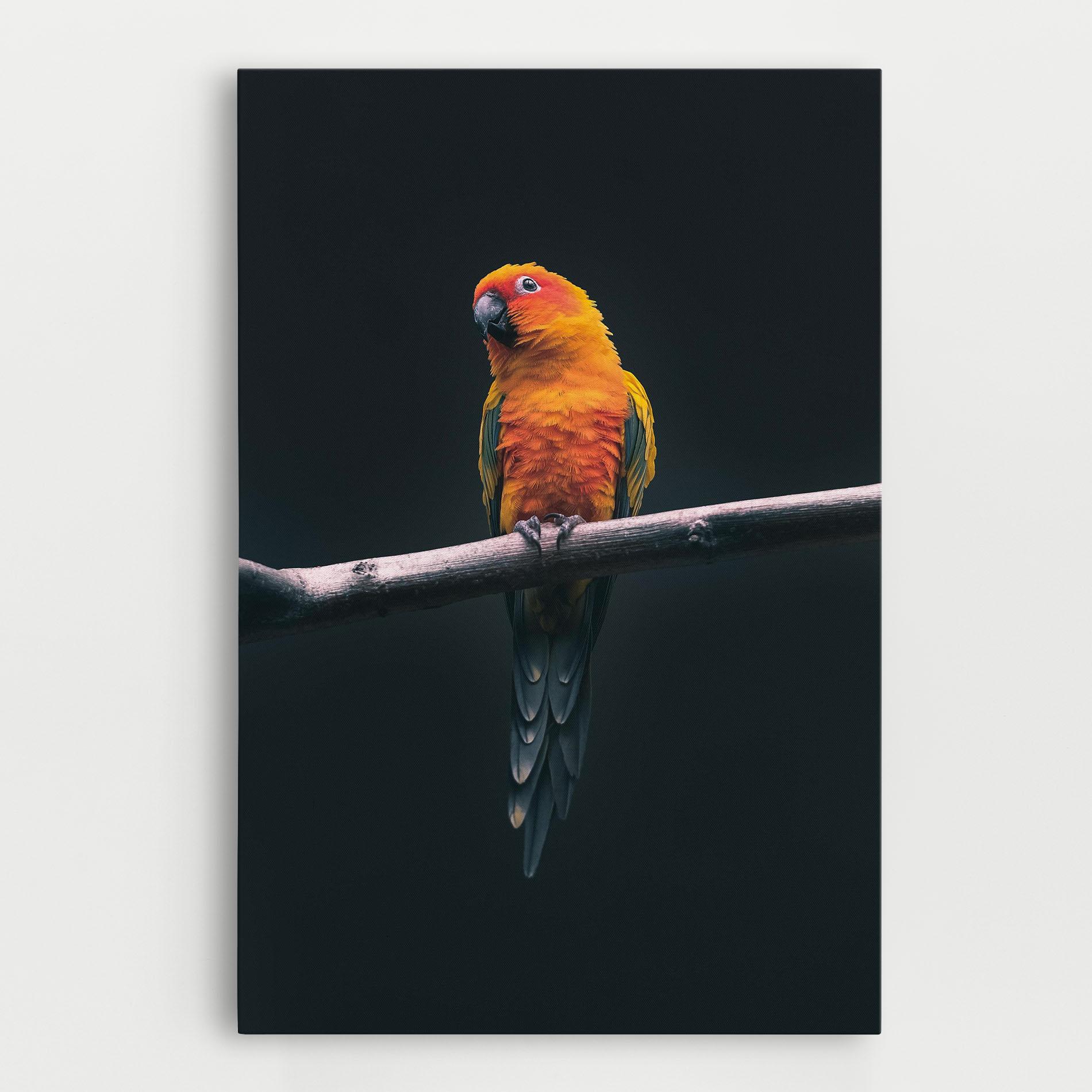 Tablou Canvas Fire Parrot mockup 0