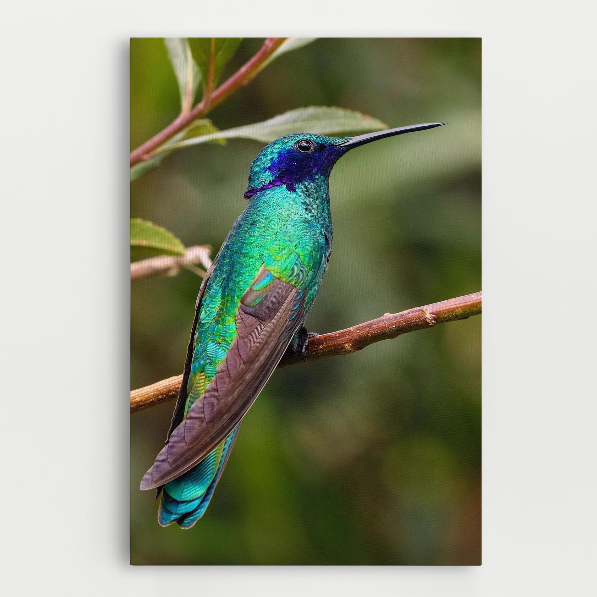 Tablou Canvas Green Bird mockup 0