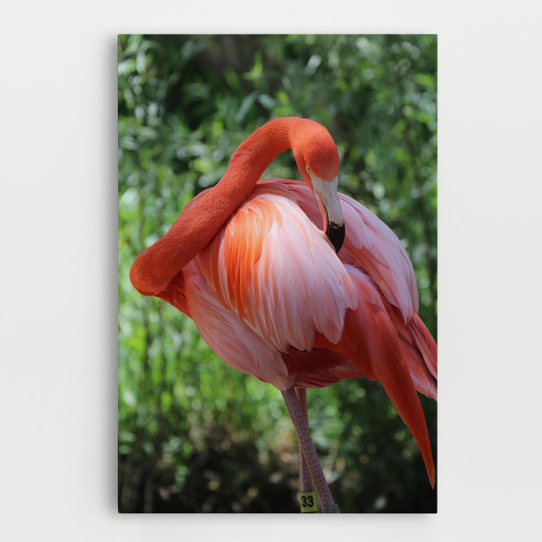 Tablou Canvas Red Flamingo mockup 0