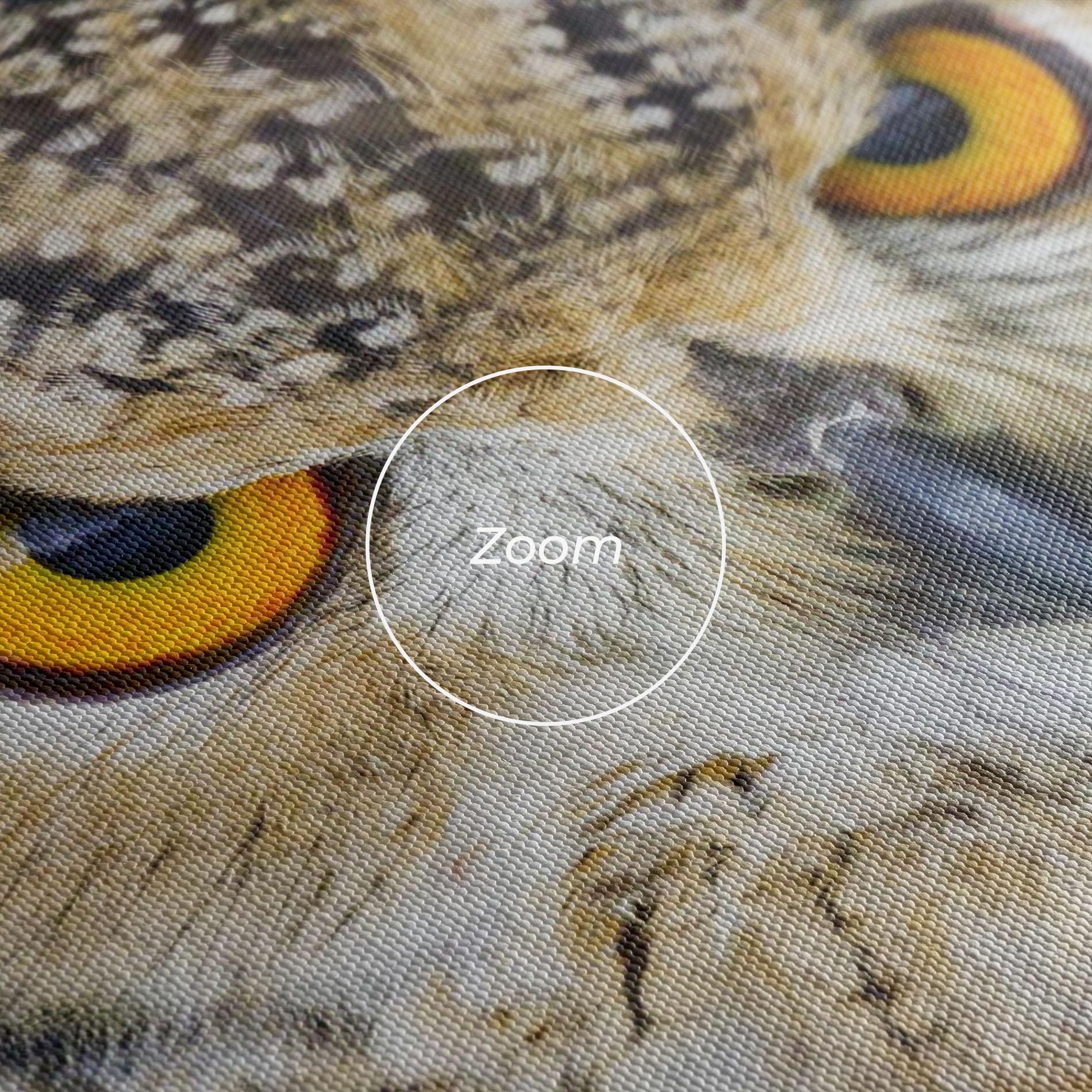 Tablou Canvas Angry Owl mockup 3