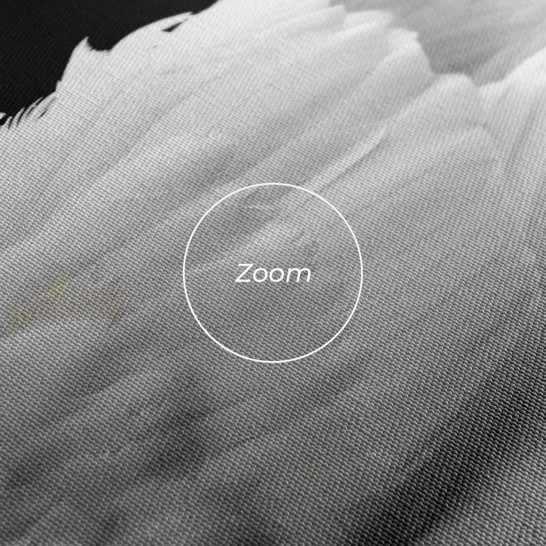 Tablou Canvas Black And White Swan mockup 3